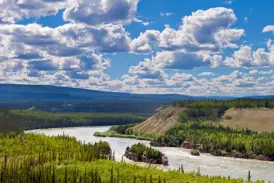 Panoramablick auf den breiten Yukon River, der sich durch grüne Wälder und Hügel in Kanadas unberührter Wildnis schlängelt.