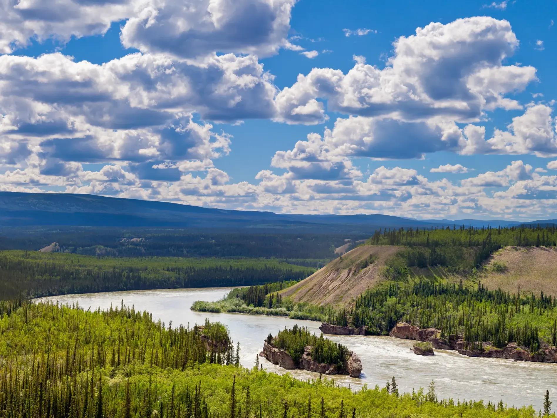 Panoramablick auf den wilden Yukon River, der sich auf einer Wanderreise durch Kanadas unberührte Nadelwälder schlängelt.