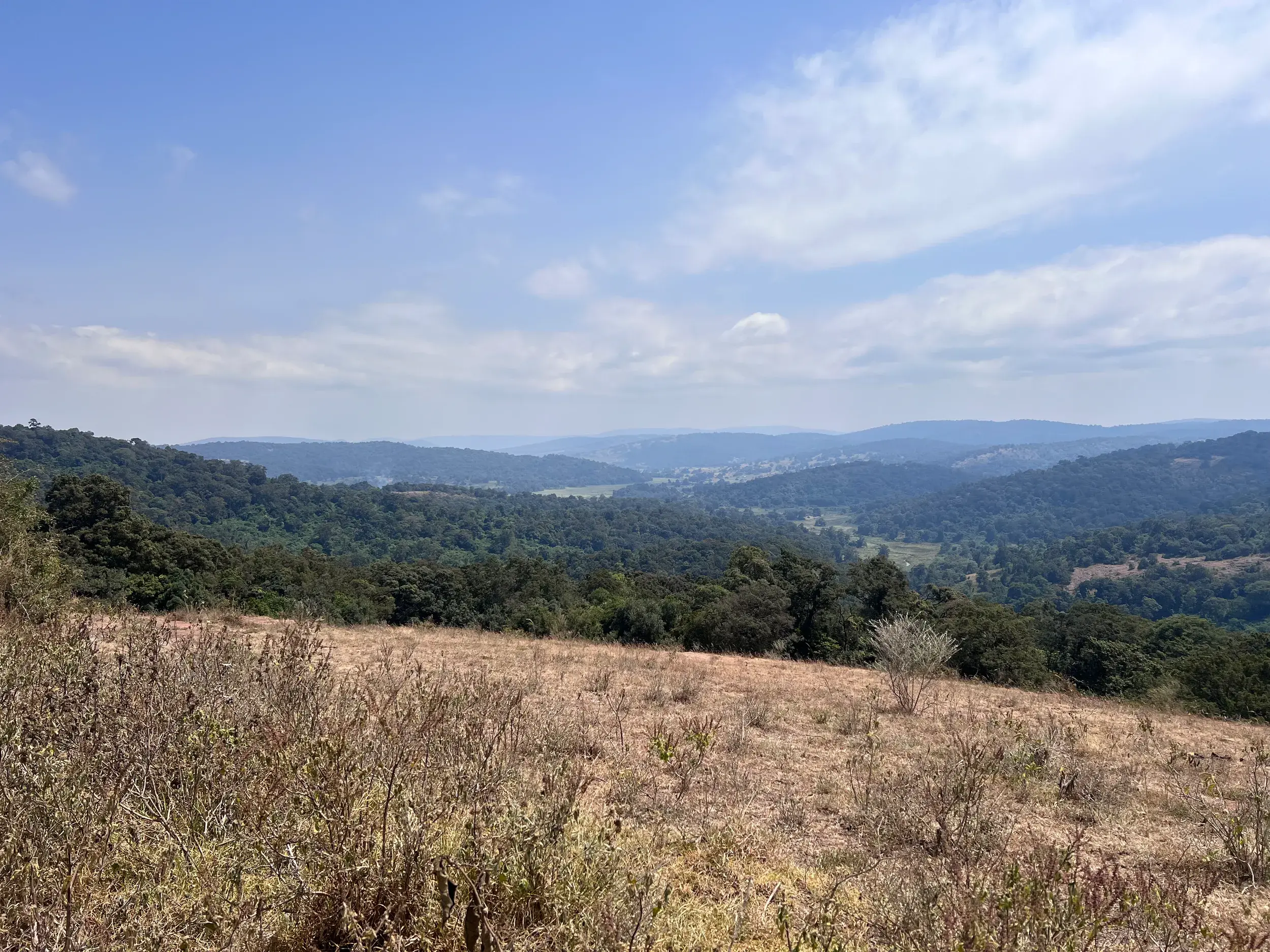 Weite Aussicht beim Trekking in den Loita Hills in Kenia über eine grüne, hügelige Tallandschaft am Afrikanischen Grabenbruch.