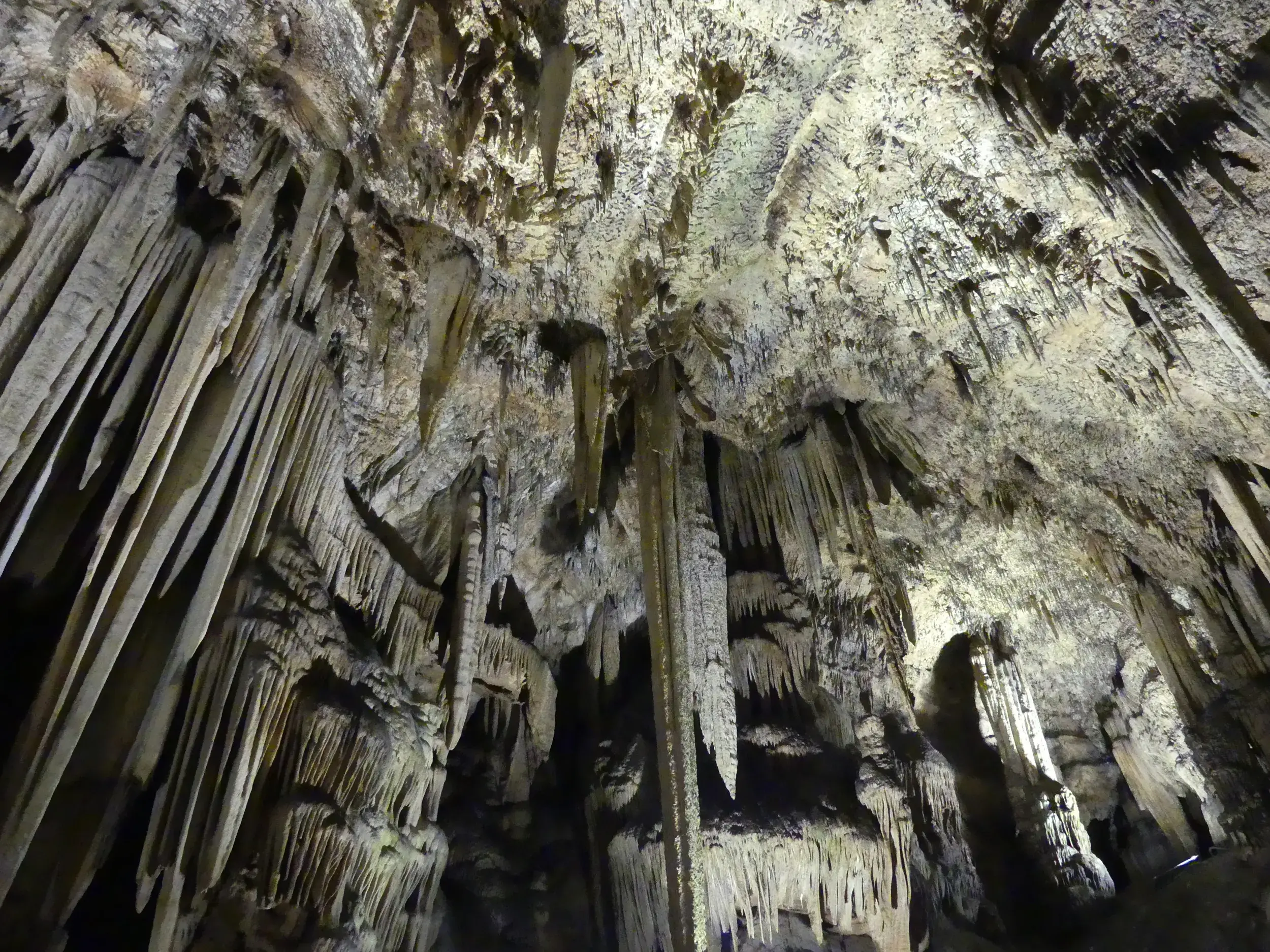 Faszinierende Tropfsteinformationen mit Stalaktiten an der Decke der berühmten Tropfsteinhöhle Su Mannau auf Sardinien.
