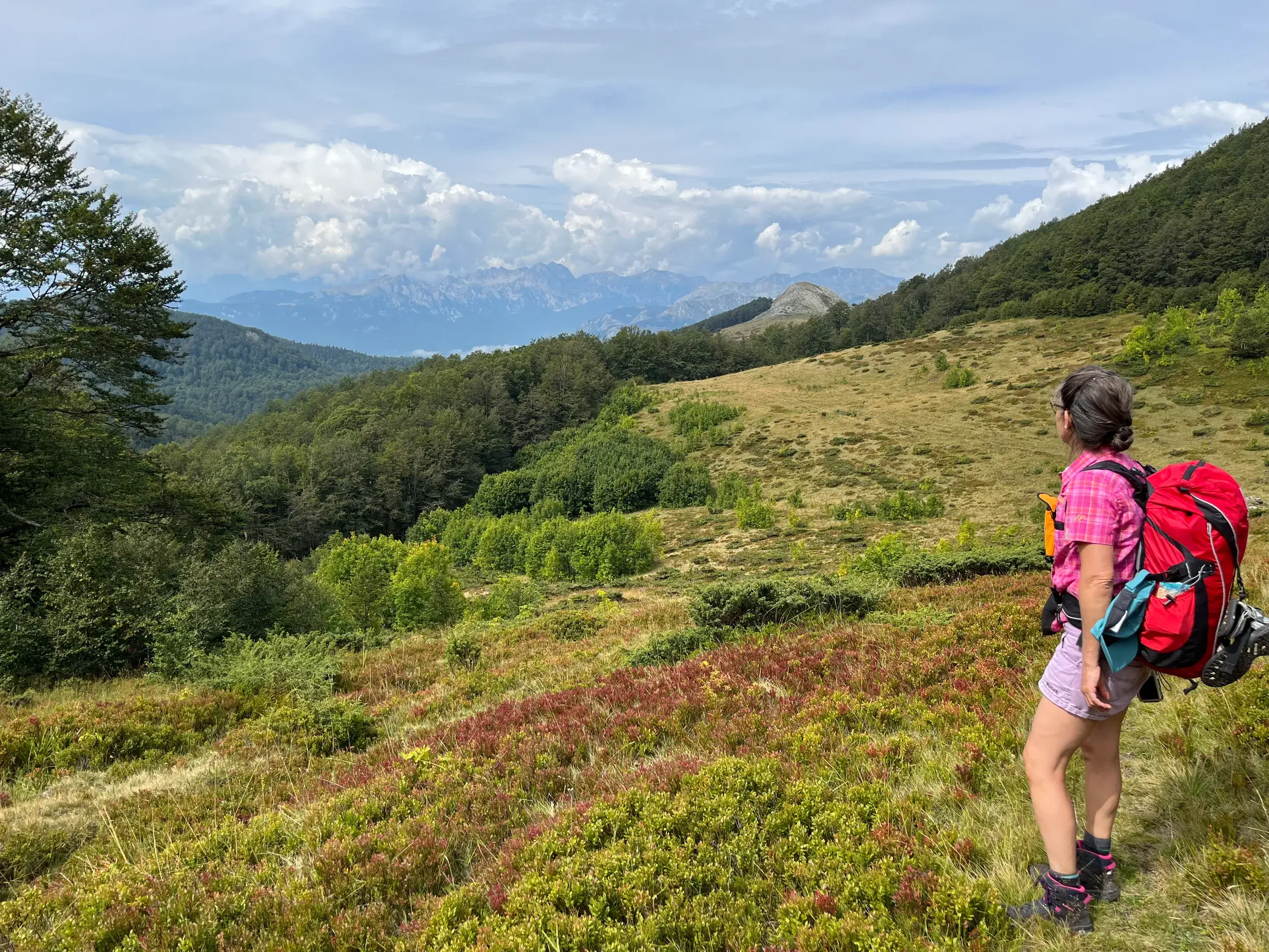 Eine Wanderin mit rotem Rucksack blickt von einem Berghang im Bjelasica-Gebirge auf die fernen Gipfel des Durmitor-Nationalparks.