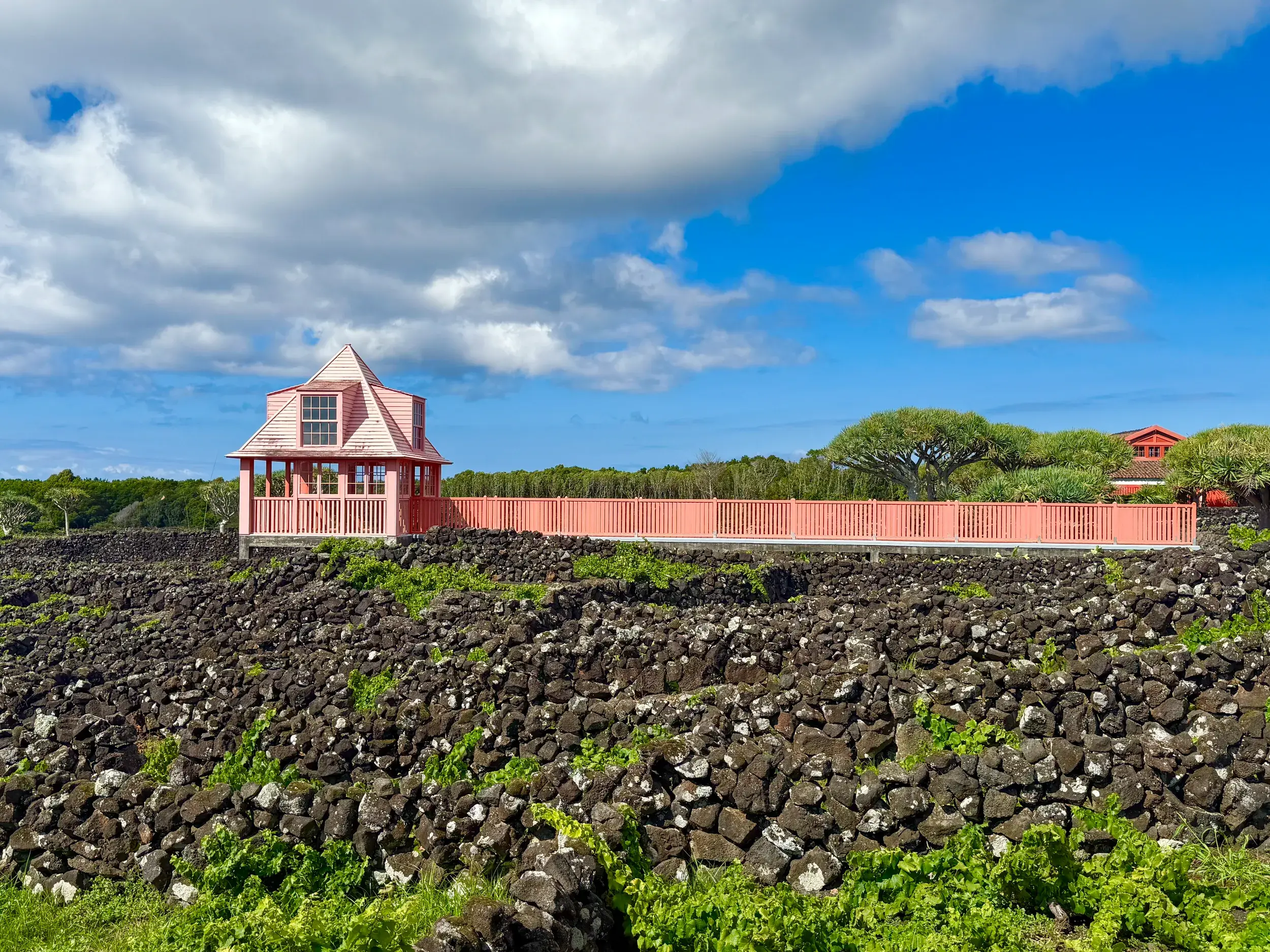 Ein rosafarbenes Gebäude über den von schwarzen Lavasteinmauern geschützten Weinbergen von Criacao Velha auf der Insel Pico.