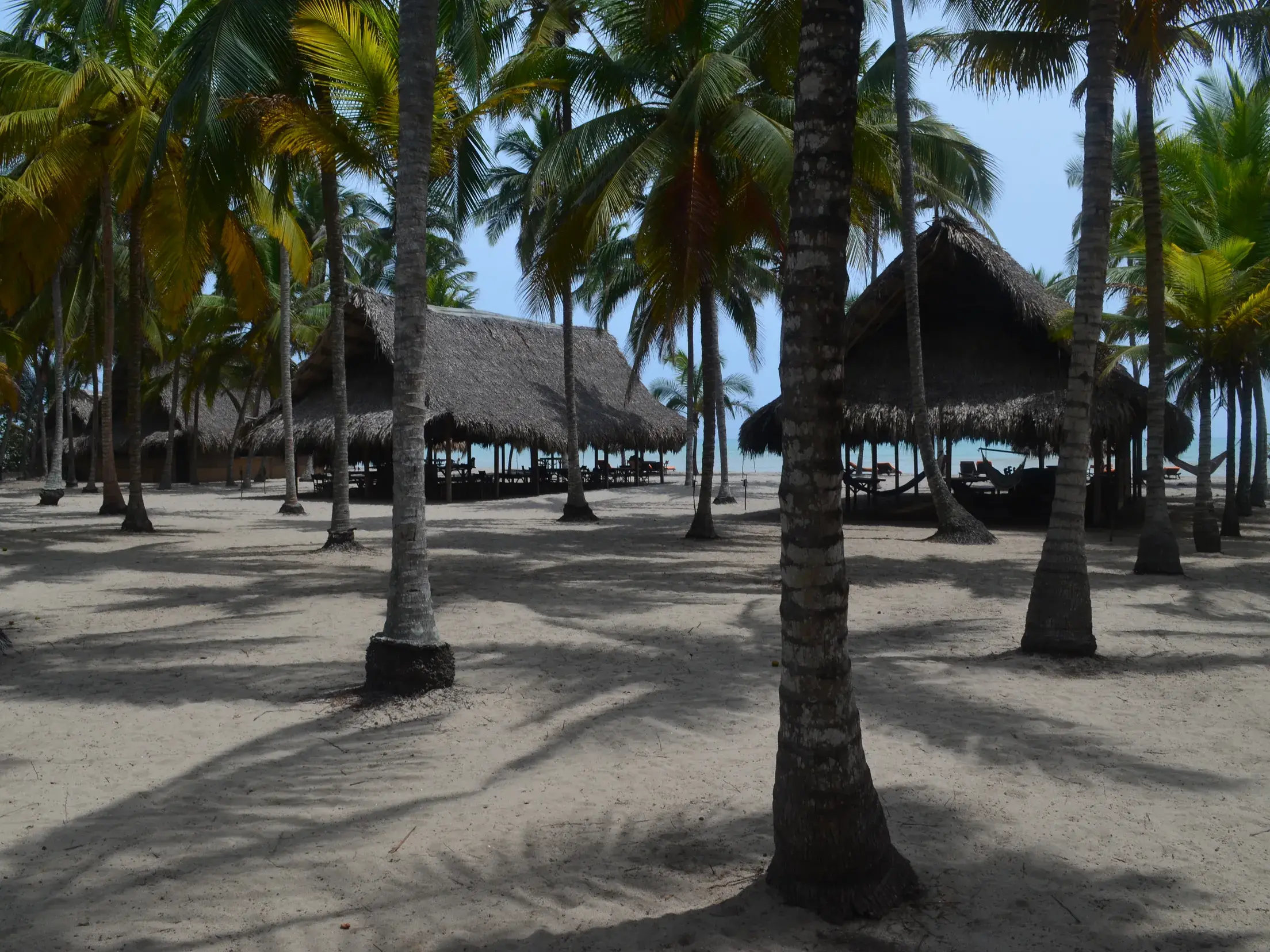 Sonniger Sandstrand mit vielen Palmen und strohgedeckten Hütten im Tayrona-Nationalpark an der Karibikküste Kolumbiens.