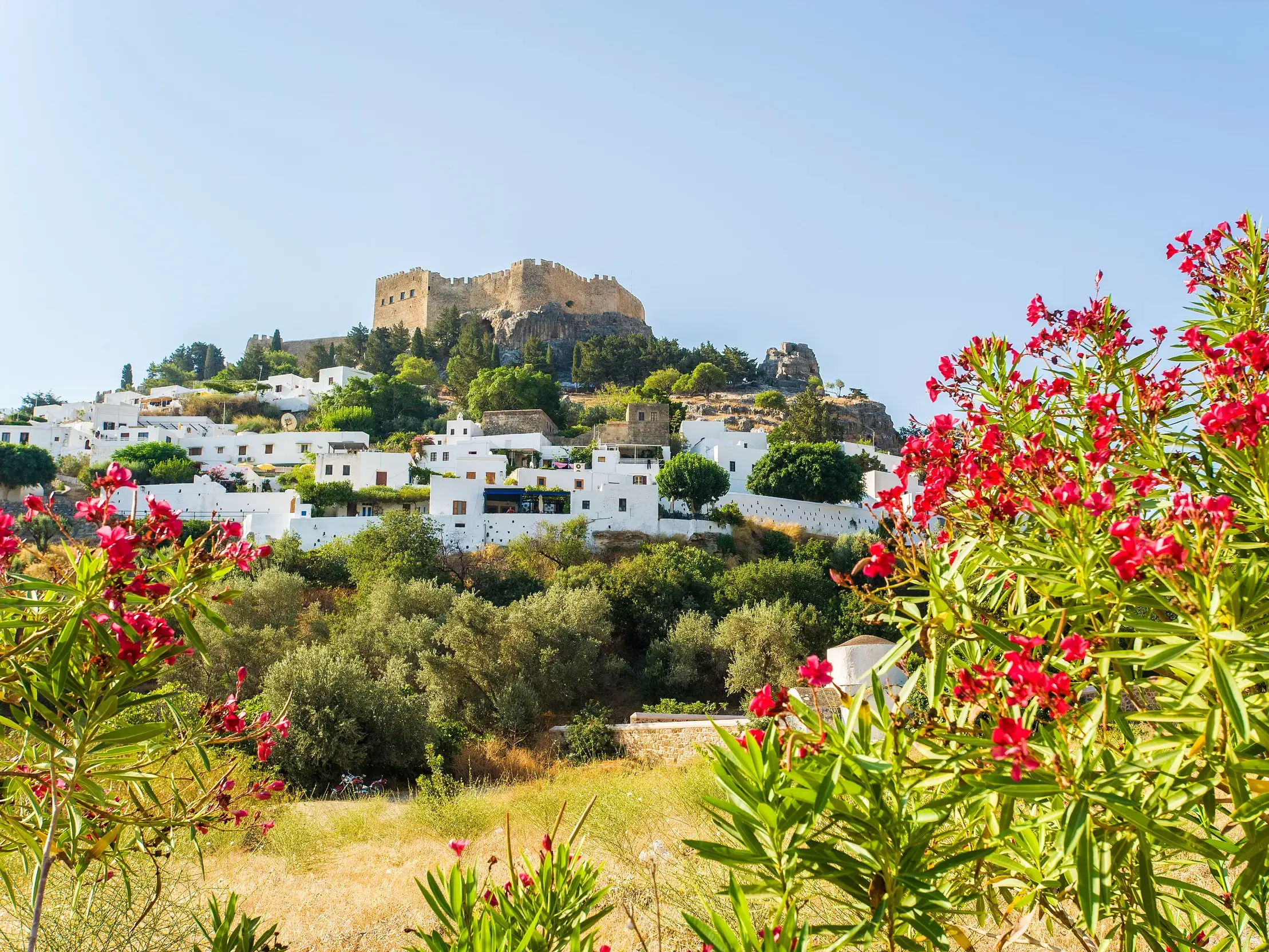 Die Akropolis von Lindos thront über den schneeweißen Häusern des Dorfes auf Rhodos, im Vordergrund rote Blüten.