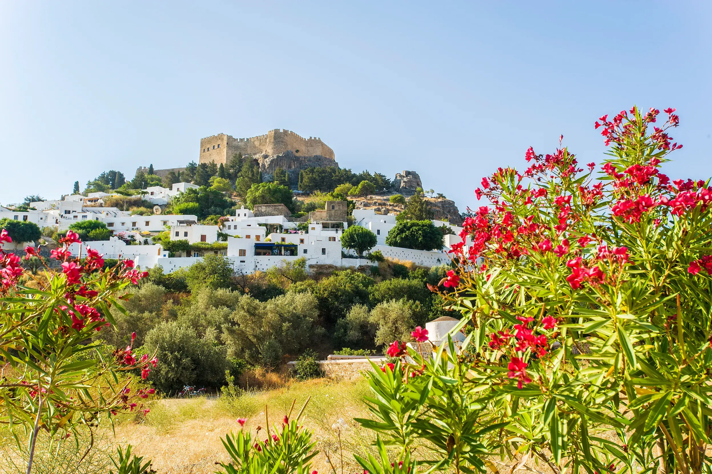Die Akropolis von Lindos thront über den schneeweißen Häusern des Dorfes auf Rhodos, im Vordergrund rote Blüten.