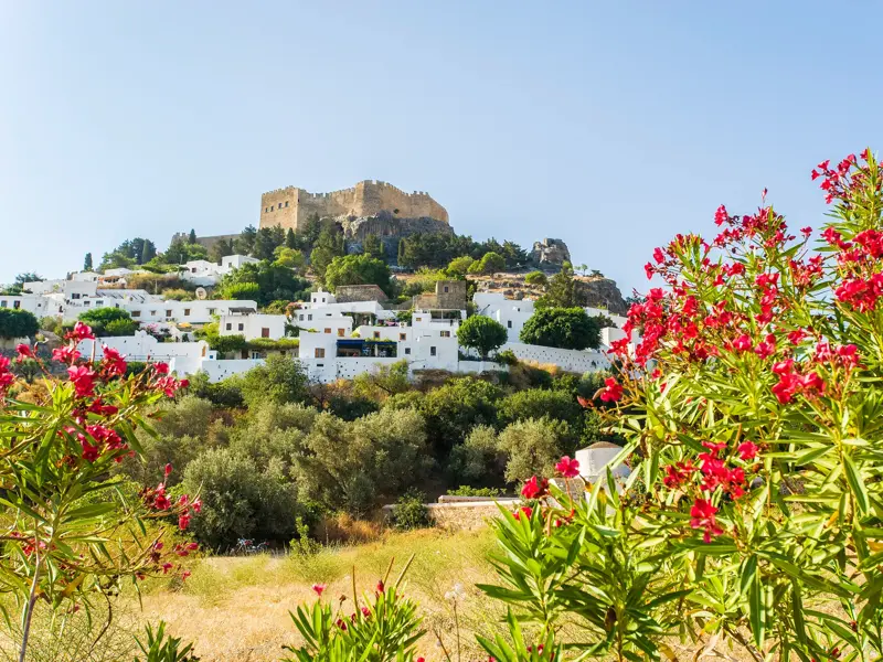 Die Akropolis von Lindos thront über den schneeweißen Häusern des Dorfes auf Rhodos, im Vordergrund rote Blüten.