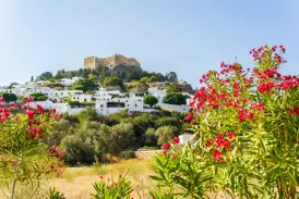 Die Akropolis von Lindos thront über den schneeweißen Häusern des Dorfes auf Rhodos, im Vordergrund rote Blüten.