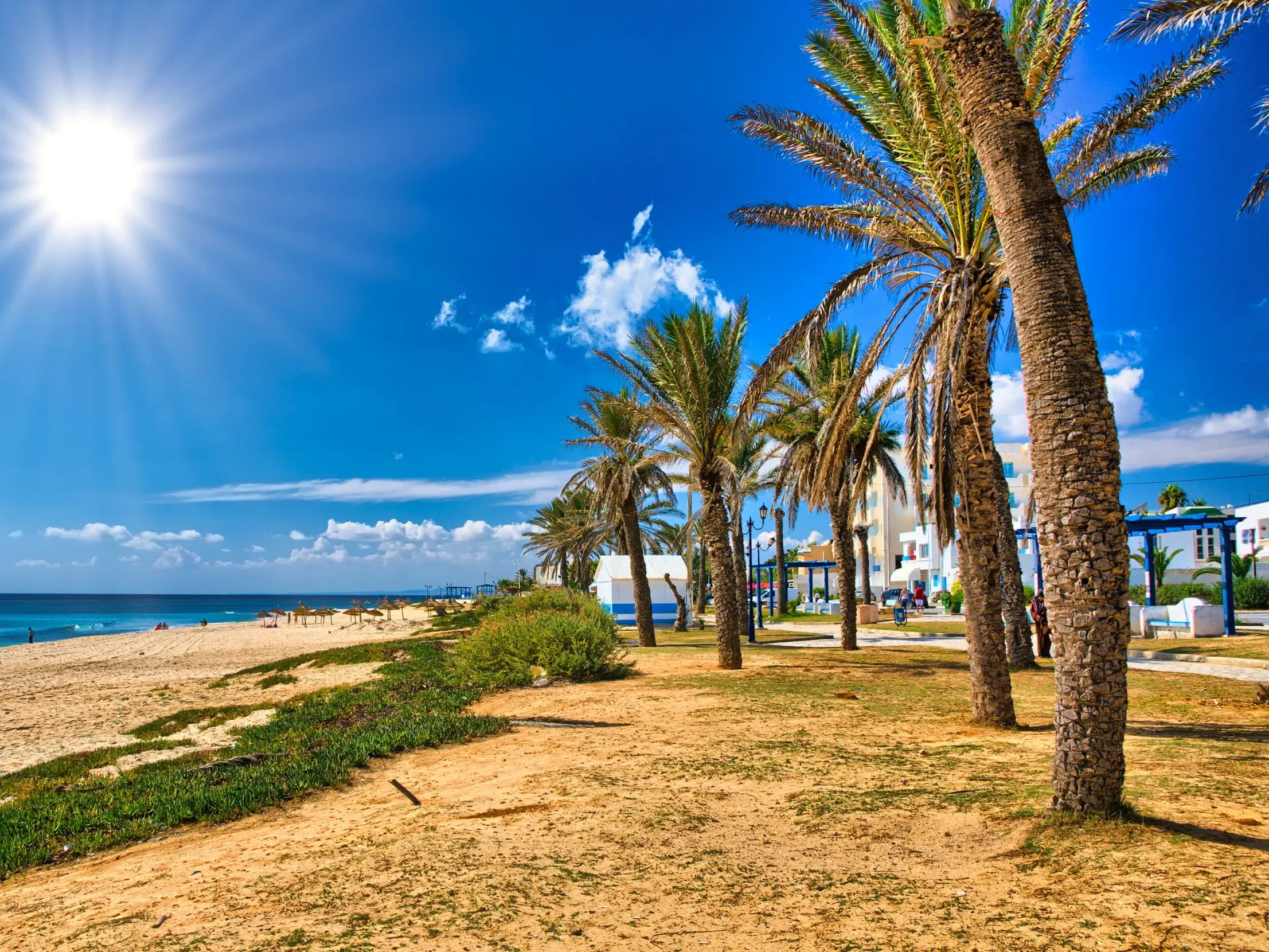 Strahlende Sonne über dem feinsandigen Strand von Hammamet mit Palmenallee und Blick auf das Mittelmeer in Tunesien.