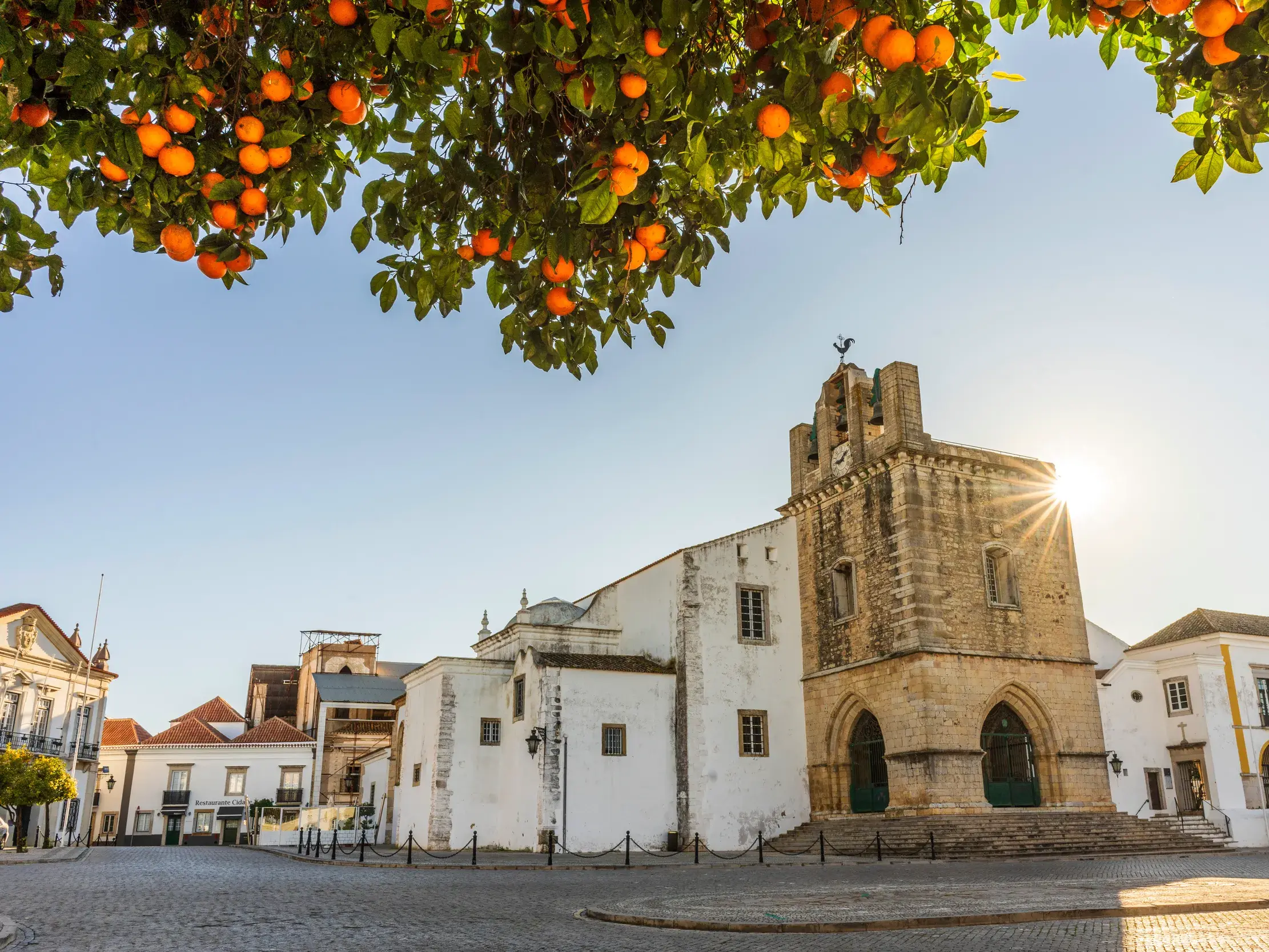 Ein Orangenbaum voller Früchte rahmt die historische Kathedrale von Silves an der sonnigen Algarve in Portugal ein.