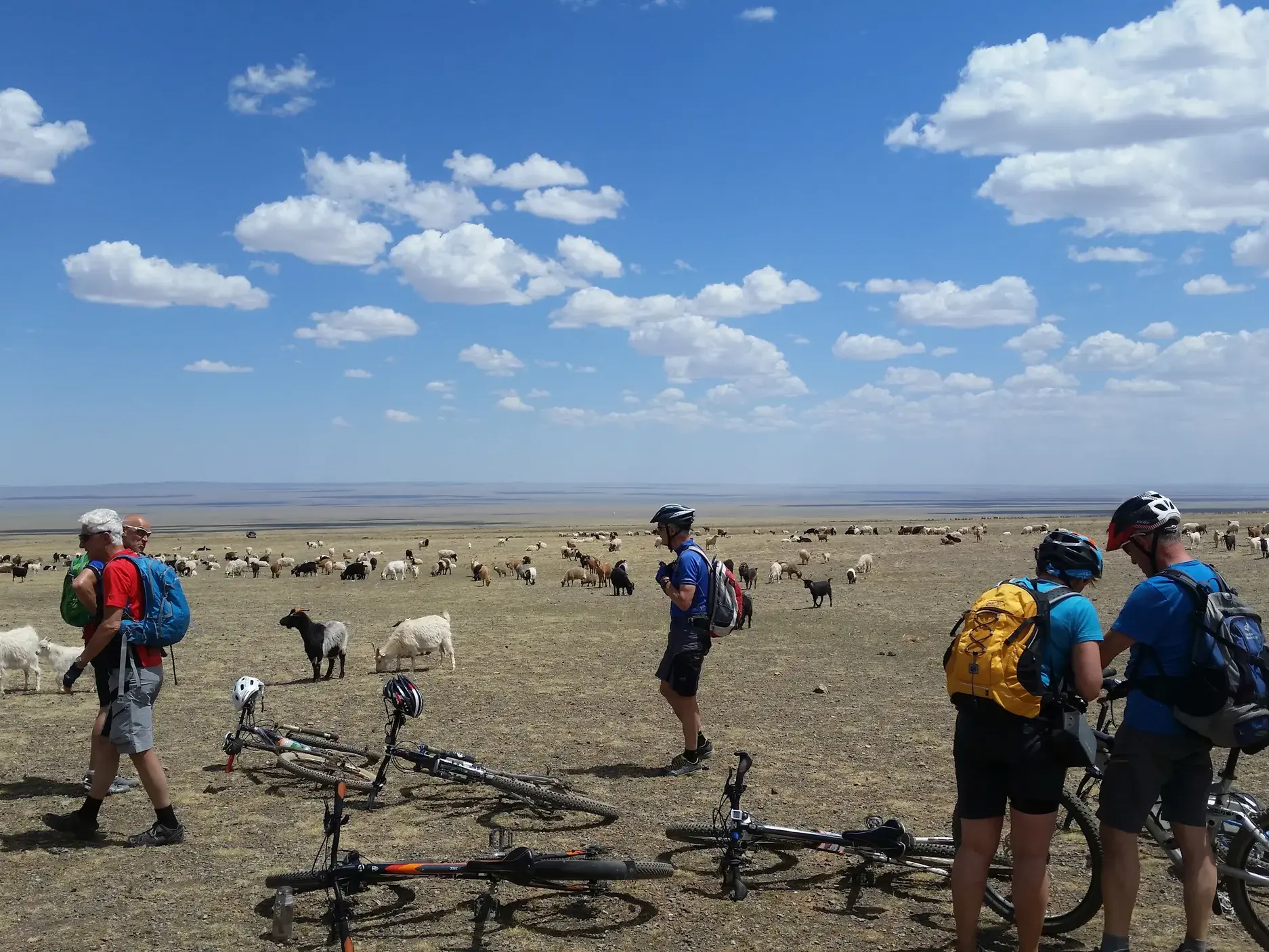 Eine Radreisegruppe pausiert mit Mountainbikes in der weiten Steppe der Mongolei inmitten einer grasenden Ziegenherde.