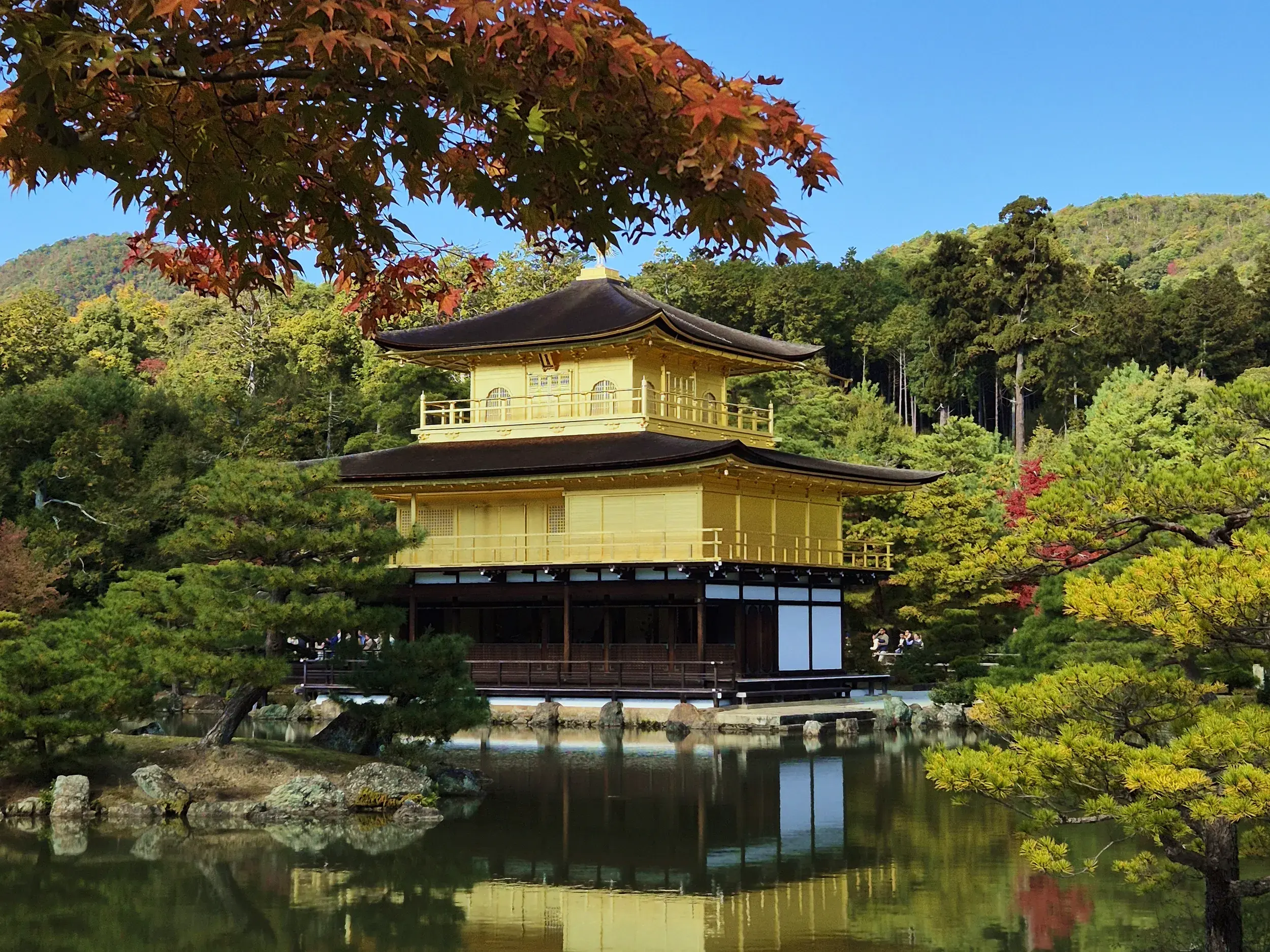 Der Goldene Pavillon Kinkaku-ji in Kyoto spiegelt sich in einem Teich, umgeben von buntem Herbstlaub und dichten Wäldern.