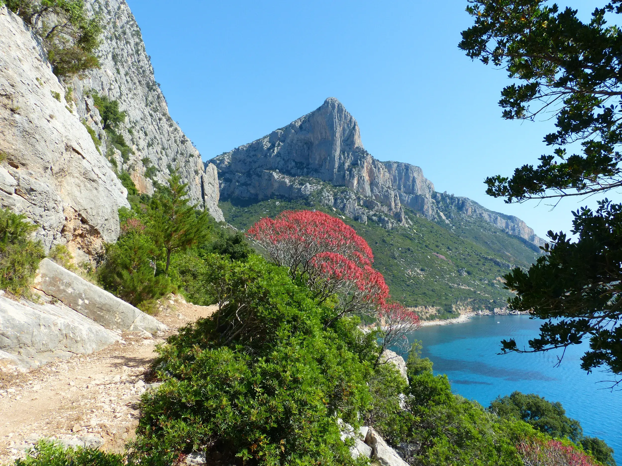 Blick von einem Hirtenpfad auf die Felsnadel Aguglia und die türkisblaue Bucht Cala Goloritzé am Golf von Orosei.
