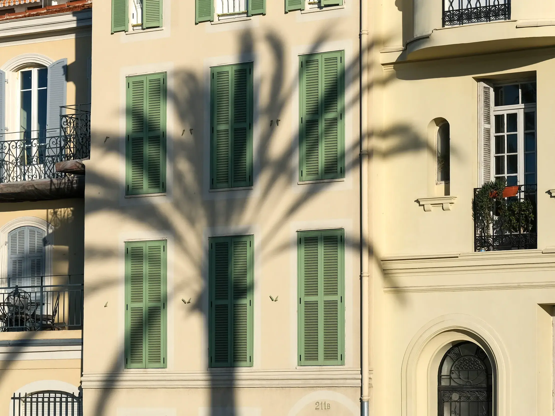 Mediterrane Szenerie in Nizza: Der Schatten einer Palme fällt auf eine sonnenbeschienene Hausfassade mit grünen Fensterläden.