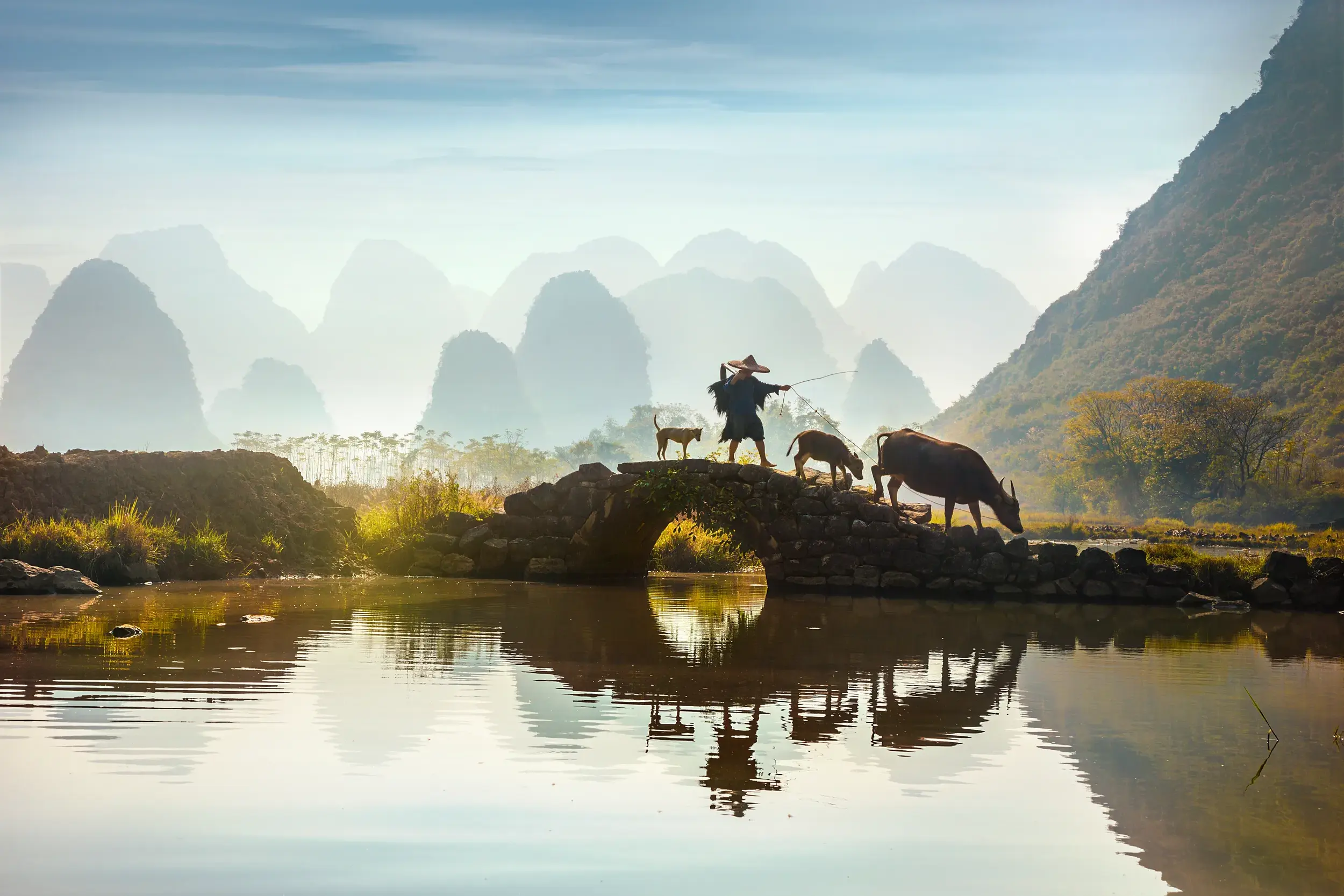 Chinesischer Bauer mit Wasserbüffel auf einer Steinbrücke am Li-Fluss vor den nebligen Karstbergen von Guilin am Morgen.