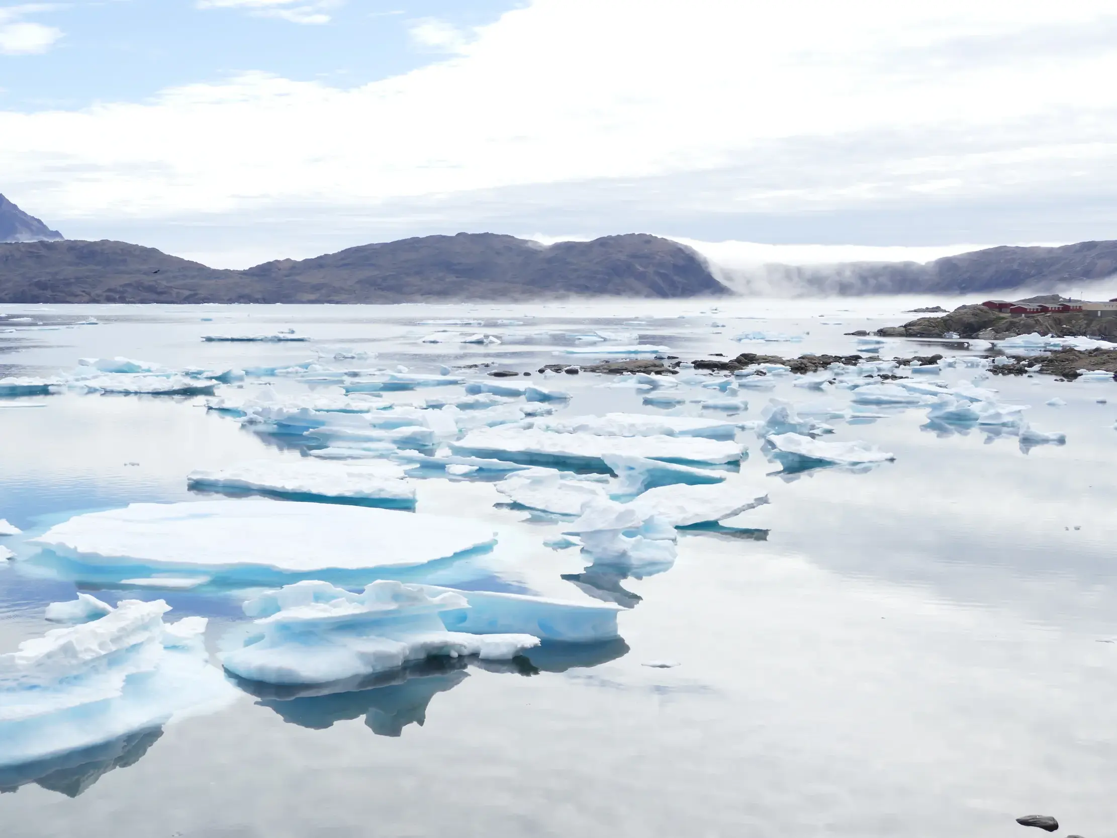Zahlreiche Eisberge treiben im ruhigen Wasser des Sermilik-Fjords in Ostgrönland vor einer felsigen Küstenlandschaft.