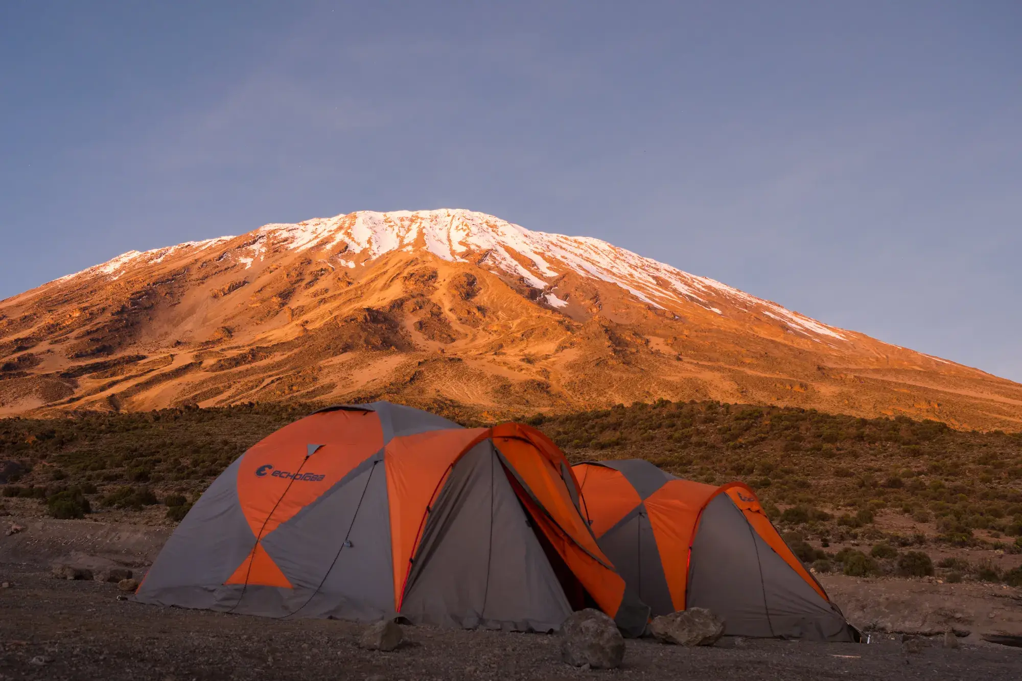 Trekking-Zelte im Camp am Northern Circuit vor dem schneebedeckten Gipfel des Kilimanjaro im Morgenlicht.