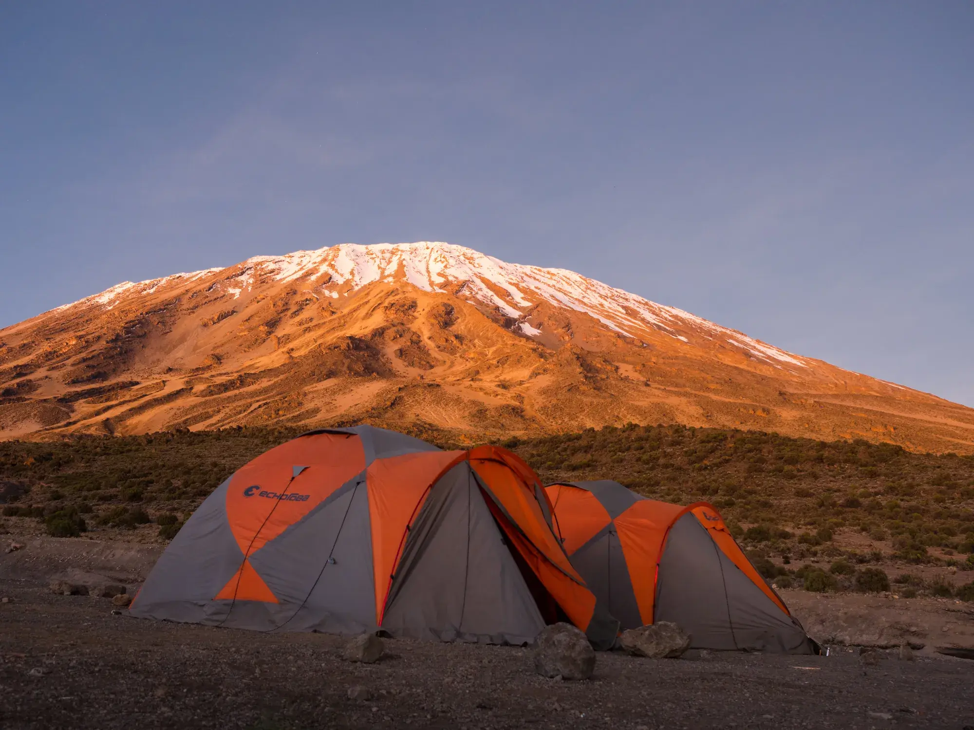 Trekking-Zelte im Camp am Northern Circuit vor dem schneebedeckten Gipfel des Kilimanjaro im Morgenlicht.