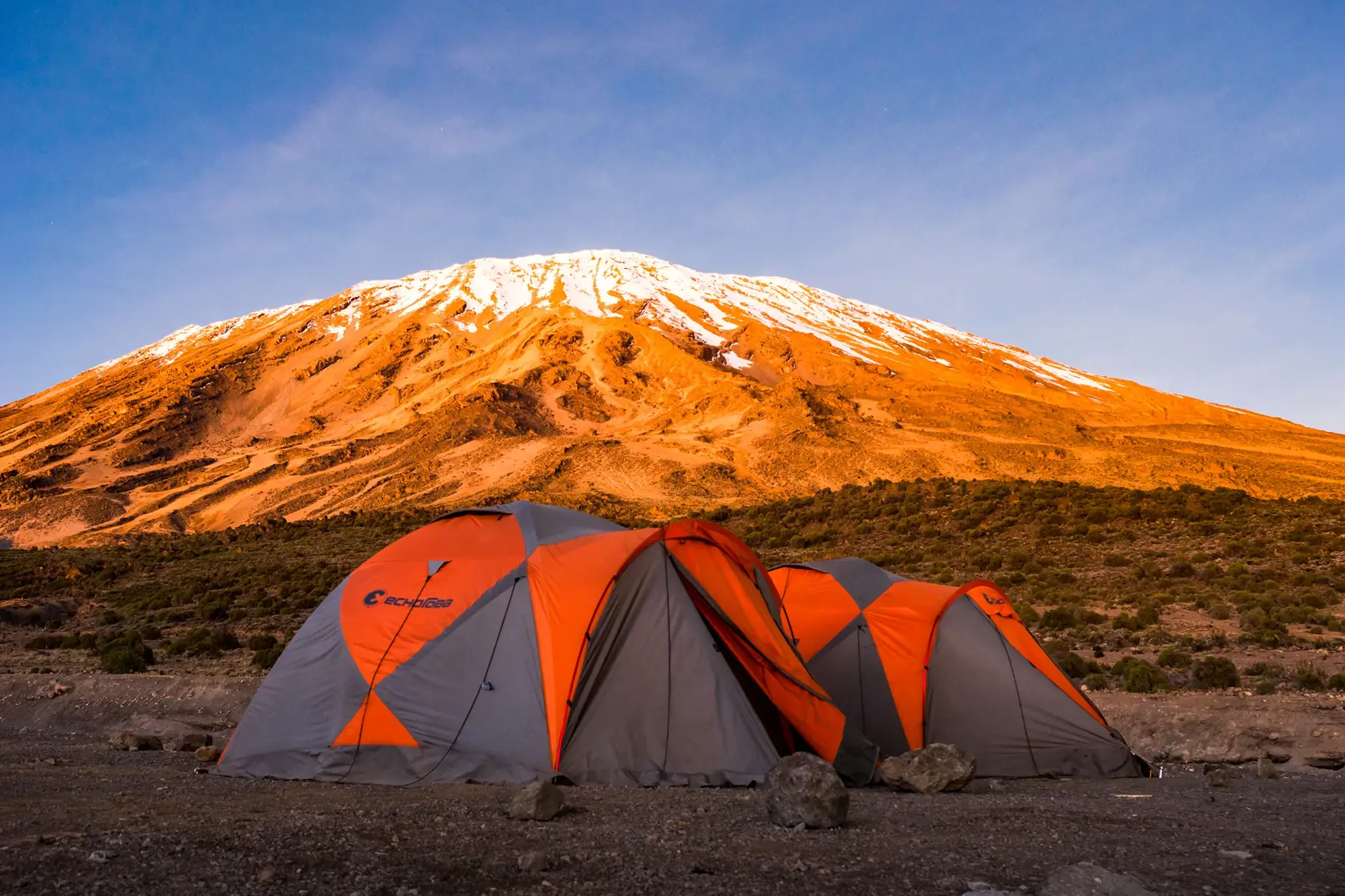 Trekking-Zelte im Camp am Northern Circuit vor dem schneebedeckten Gipfel des Kilimanjaro im Morgenlicht.