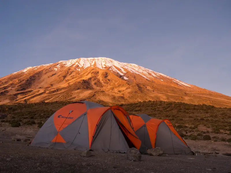 Trekking-Zelte im Camp am Northern Circuit vor dem schneebedeckten Gipfel des Kilimanjaro im Morgenlicht.