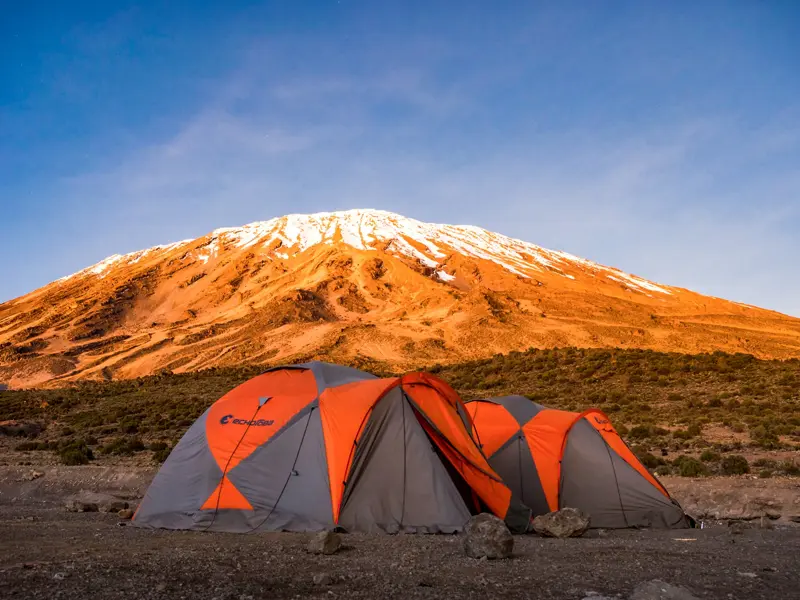 Trekking-Zelte im Camp am Northern Circuit vor dem schneebedeckten Gipfel des Kilimanjaro im Morgenlicht.