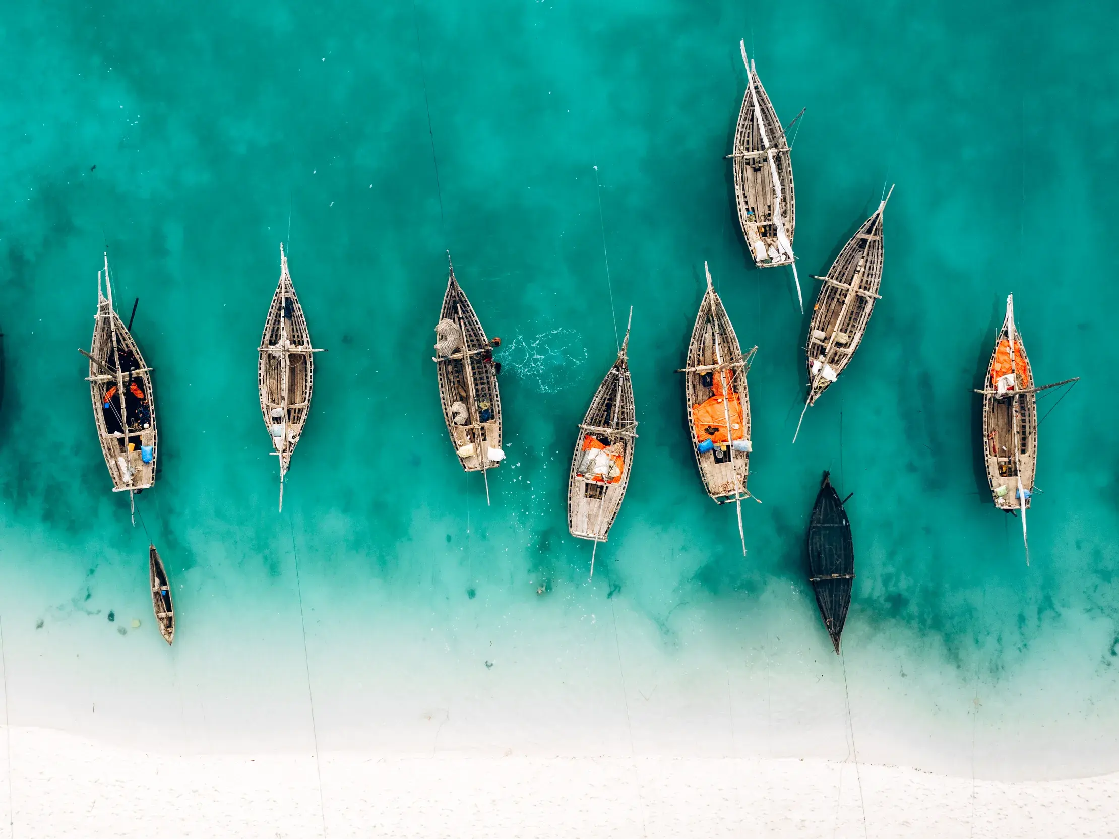 Eine Gruppe traditioneller Dhau-Boote aus Holz liegt im türkisen Wasser des Indischen Ozeans vor einem Traumstrand auf Sansibar.
