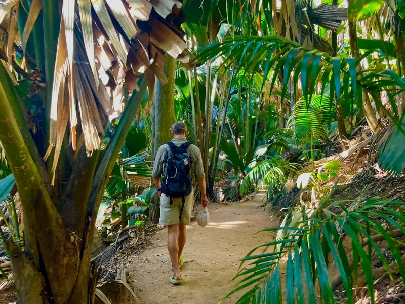 Ein Wanderer mit Rucksack erkundet auf einem schmalen Pfad den dichten, tropischen Regenwald des Vallée de Mai auf Praslin.