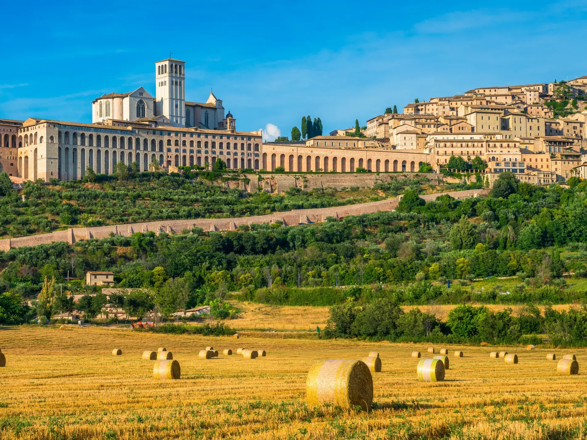 Weitblick über ein Feld mit Heuballen auf die am Hang erbaute Pilgerstadt Assisi mit der Basilika S. Francesco in Umbrien.