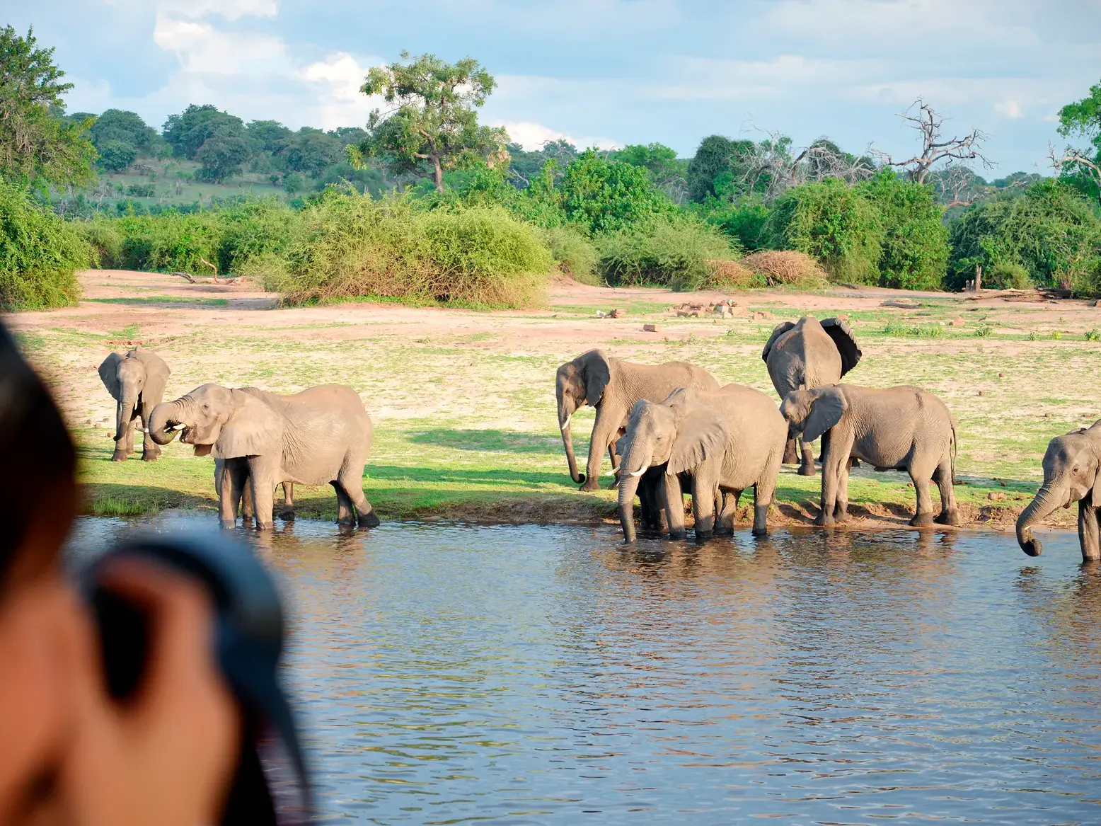 Reiseteilnehmer fotografiert Elefantenherde, die am Ufer des Chobe River in Botswana Wasser trinkt.