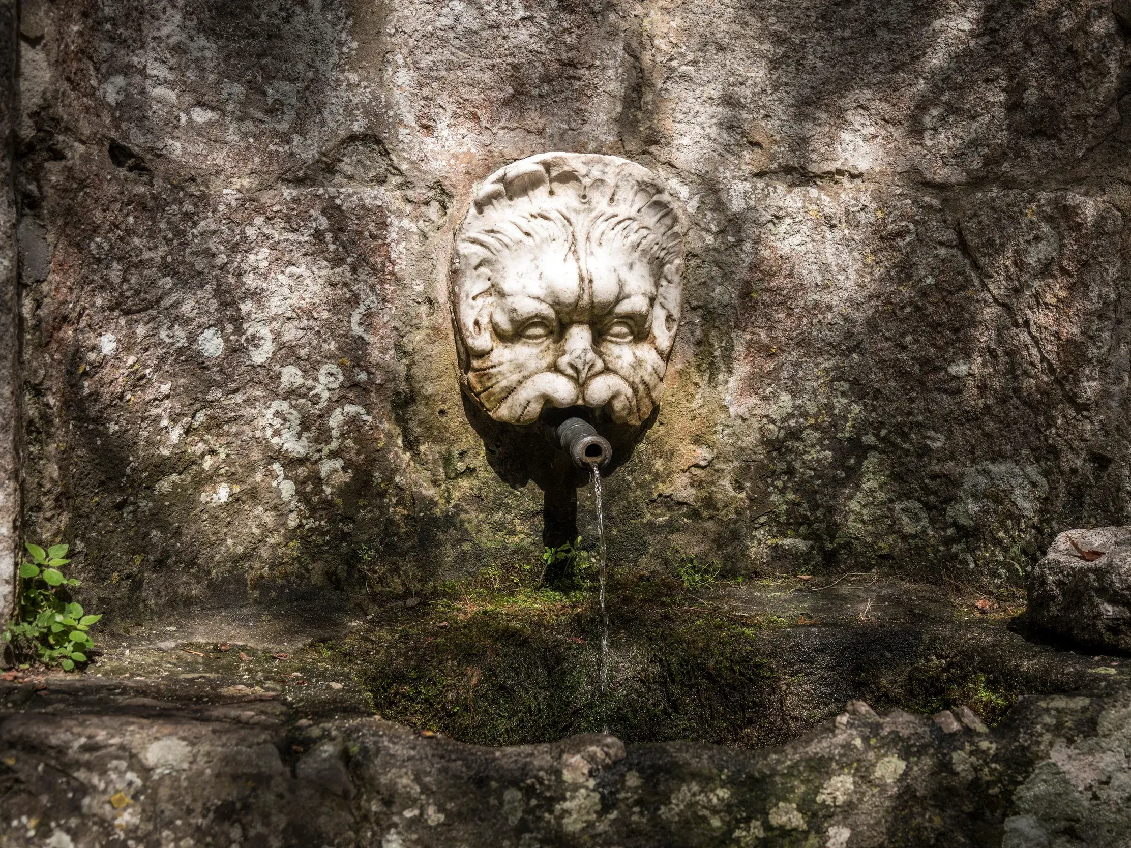 Historischer Wasserspeier in Form eines Löwenkopfes an einer moosigen Steinwand, entdeckt bei einer Trekkingreise auf Elba.