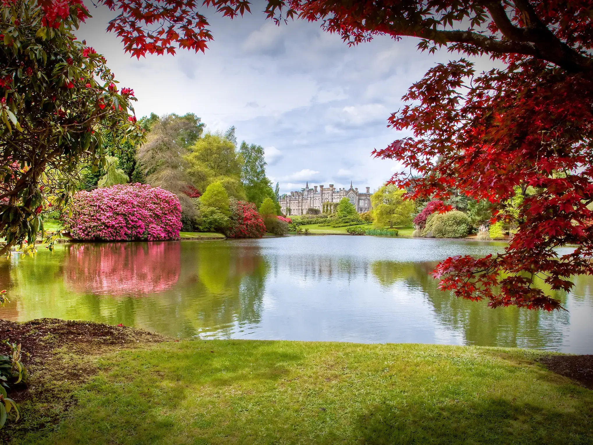 Malerischer Sheffield Park in England: Roter Ahorn und rosa Rhododendren spiegeln sich im See vor einem gotischen Herrenhaus.