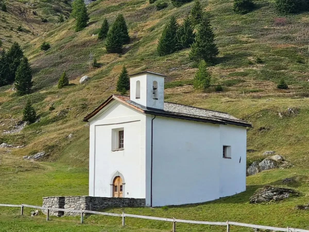 Grüne Almhänge mit Nadelbäumen vor der schroffen, schneebedeckten Felskulisse des Piz Platta in den Graubündner Alpen.