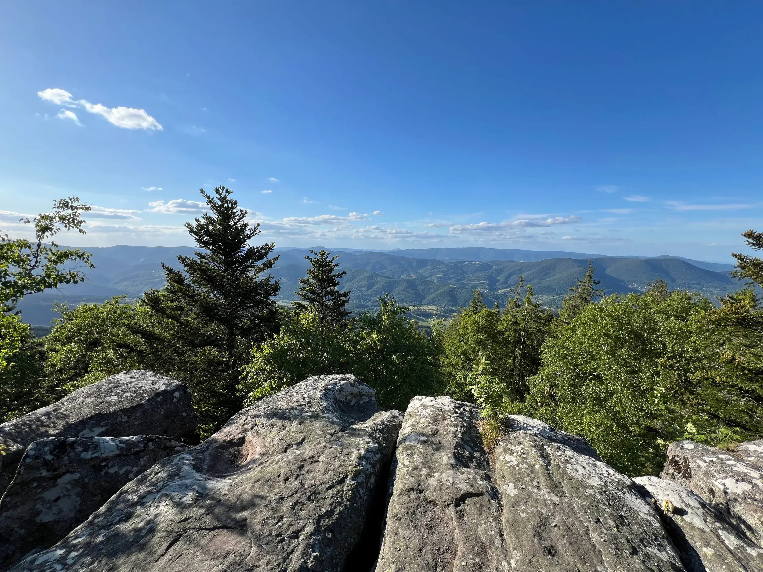 Felsiger Aussichtspunkt auf dem Vogesenkamm mit Panoramablick über die bewaldeten Berge des Elsass an einem sonnigen Tag.