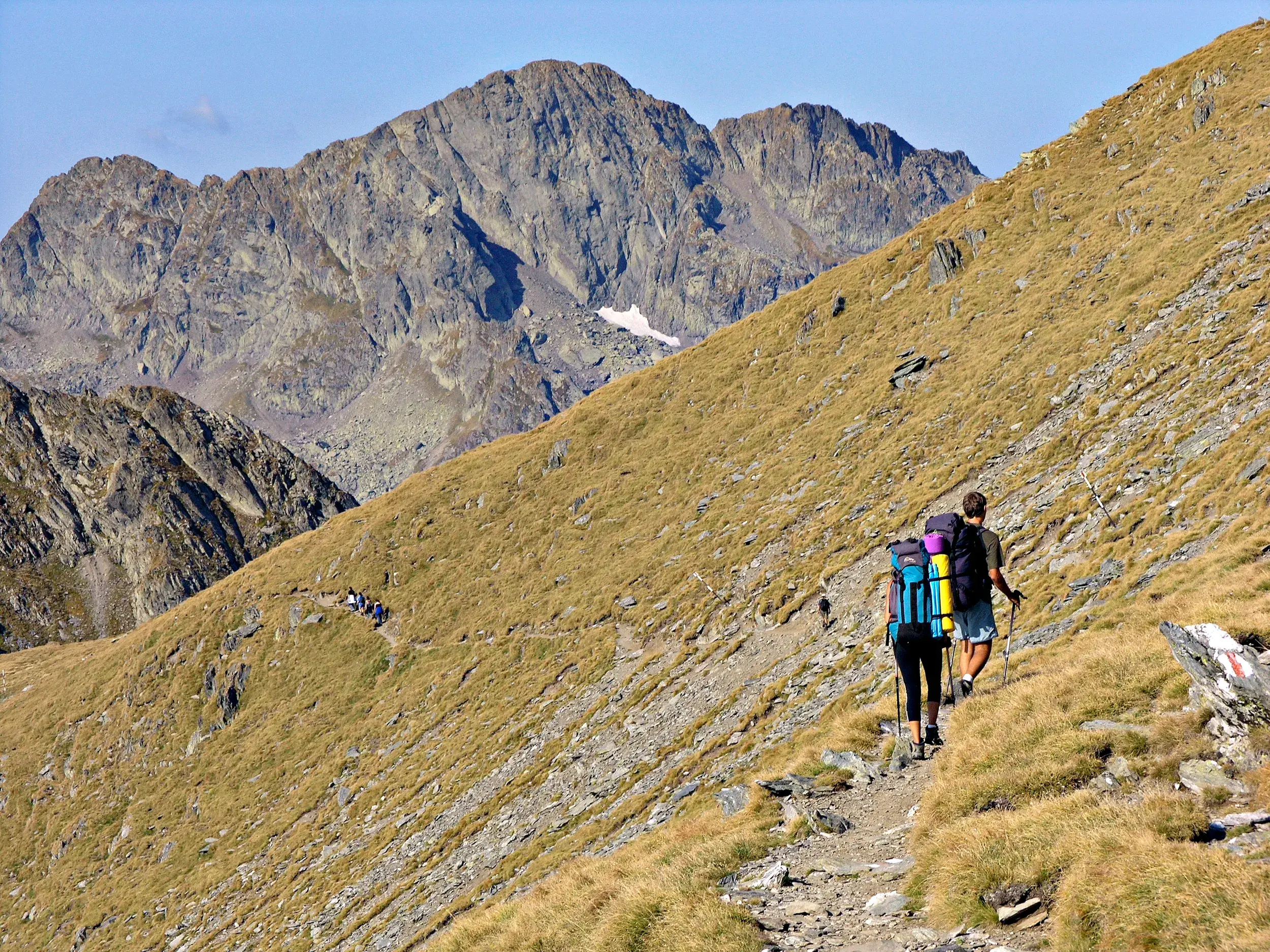 Eine Trekkinggruppe wandert auf einem schmalen Höhenweg entlang eines grasbewachsenen Hangs im Fagaras-Gebirge, Rumänien.