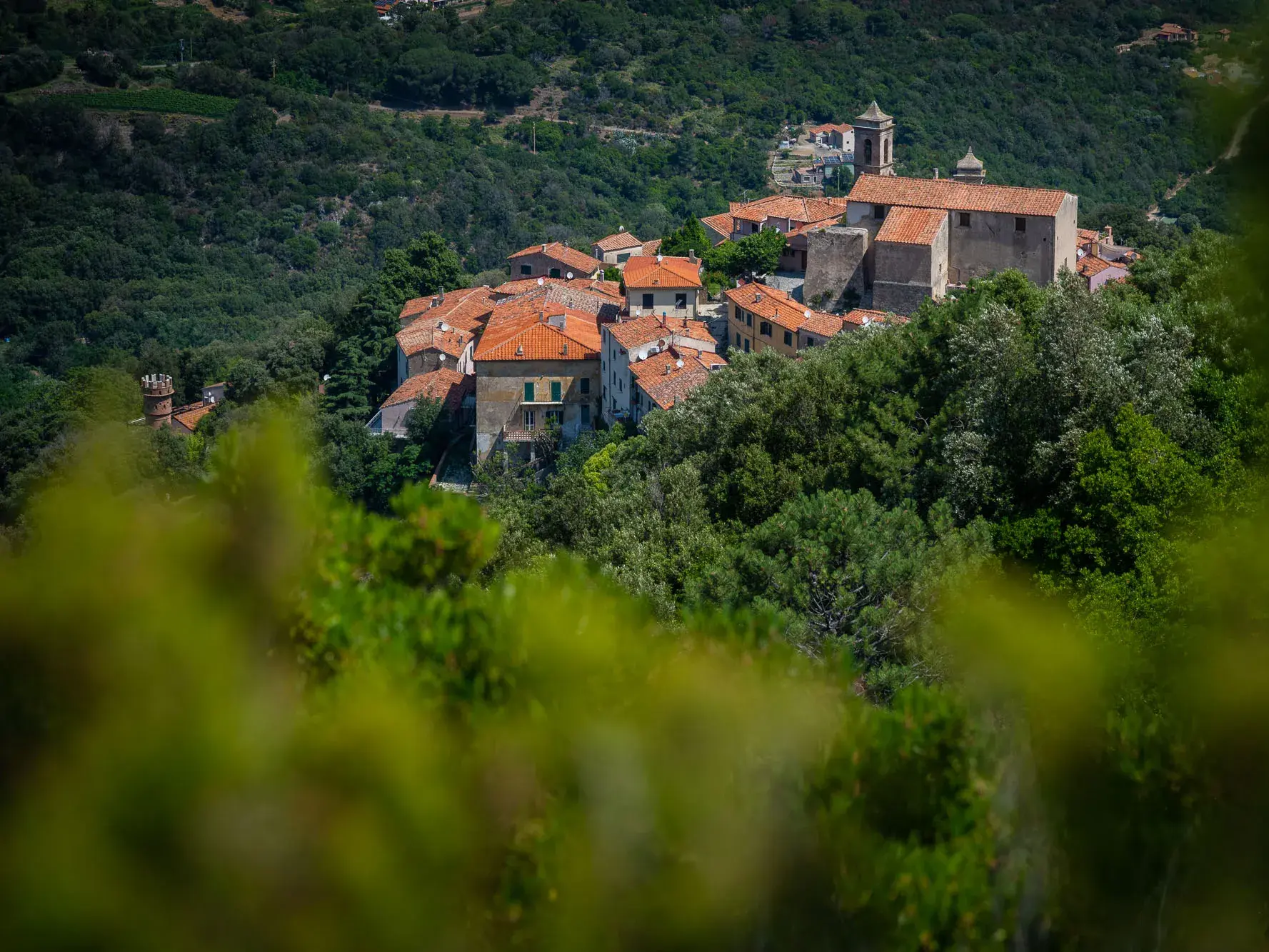 Blick von einem Wanderweg durch Bäume auf das malerische Bergdorf Poggio auf Elba mit seinen mittelalterlichen Häusern.