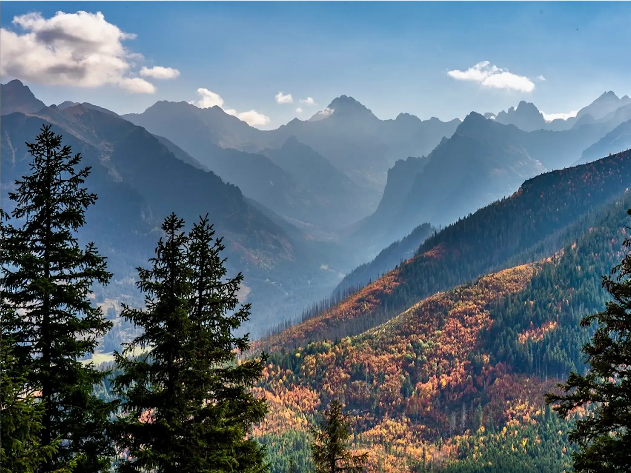 Panoramablick auf einer Wanderreise in der Hohen Tatra auf herbstlich gefärbte Wälder und die gestaffelten Berggipfel.