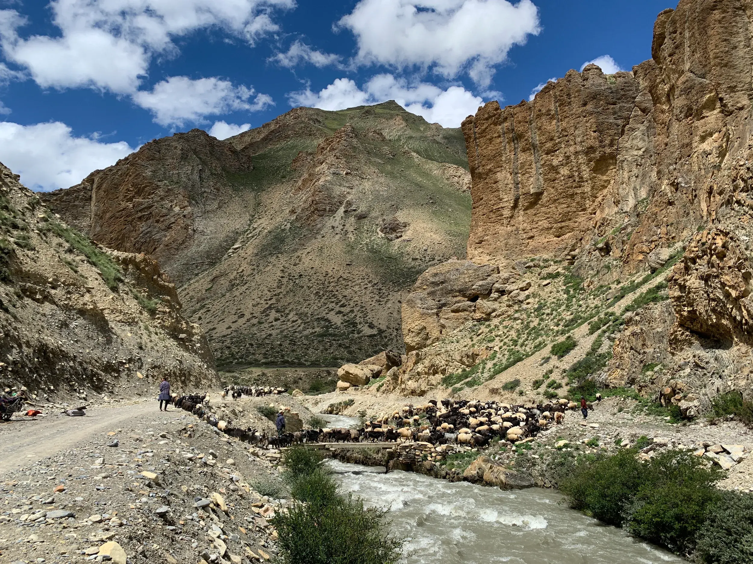 Hirten treiben eine große Ziegenherde über eine Brücke in einer tiefen Bergschlucht im Tal des Tarap Khola, Dolpo.