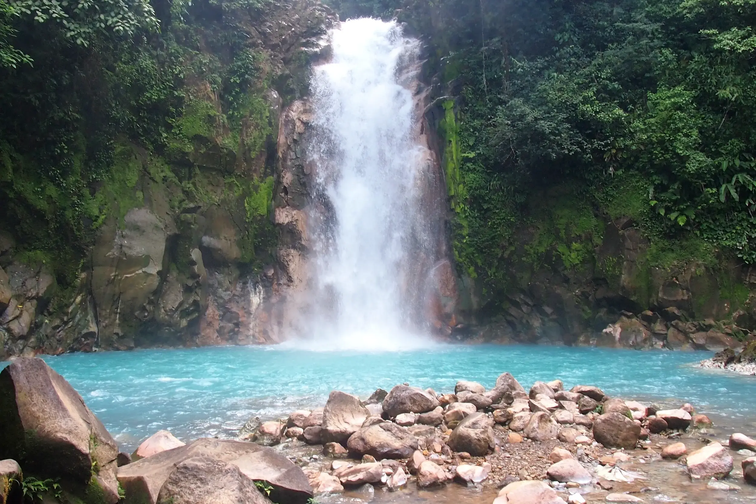 Rauschender Wasserfall im dichten Regenwald Costa Ricas stürzt über bemooste Felsen in ein leuchtend türkises Wasserbecken.