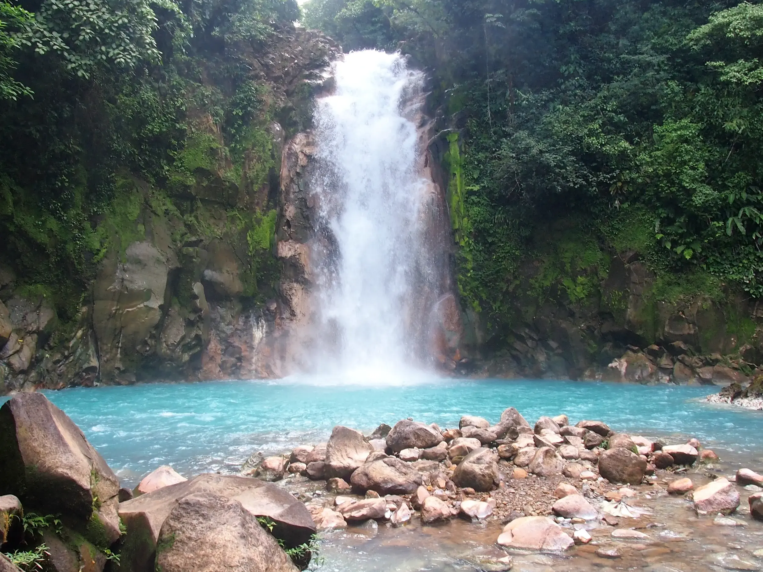 Rauschender Wasserfall im dichten Regenwald Costa Ricas stürzt über bemooste Felsen in ein leuchtend türkises Wasserbecken.