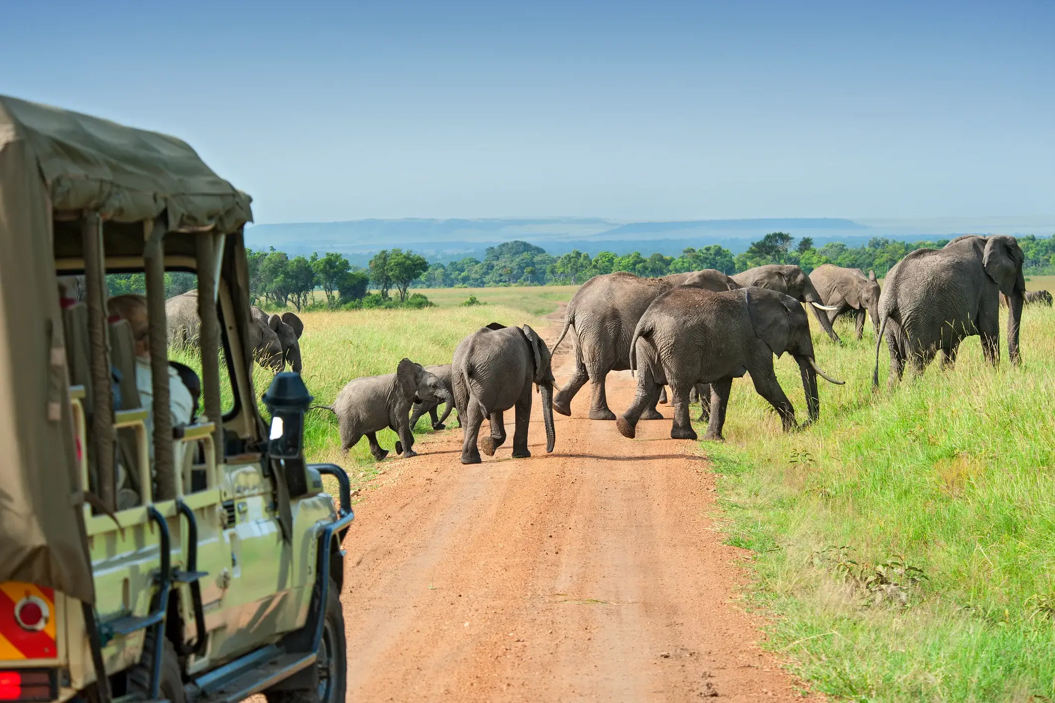 Reisegruppe auf Safari im offenen Jeep beobachtet eine Elefantenherde mit Kälbern im Krüger-Nationalpark in Südafrika.