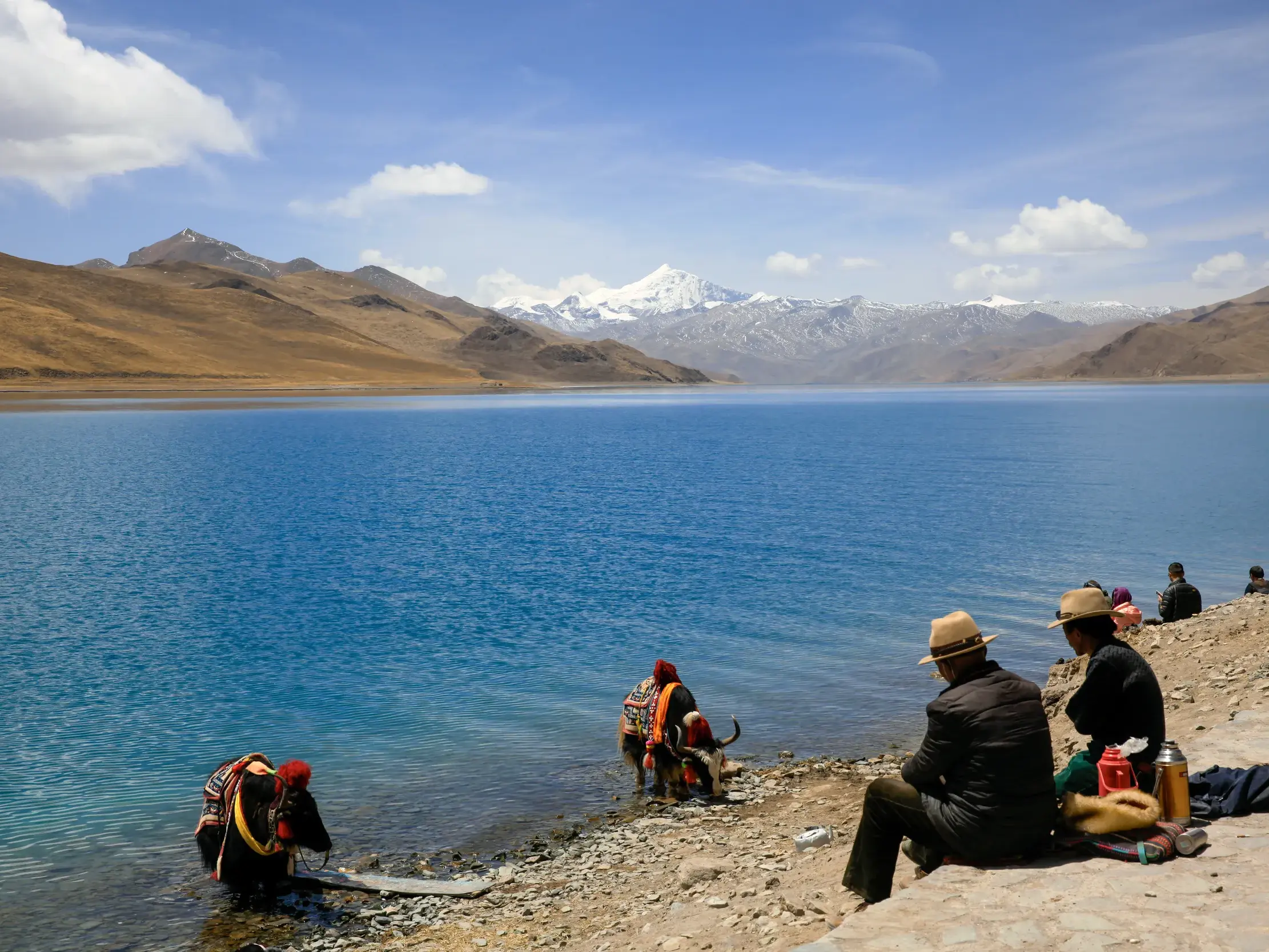 Einheimische und Reisende rasten am Ufer des türkisblauen Yamdrok-Sees in Tibet vor schneebedeckter Bergkulisse.