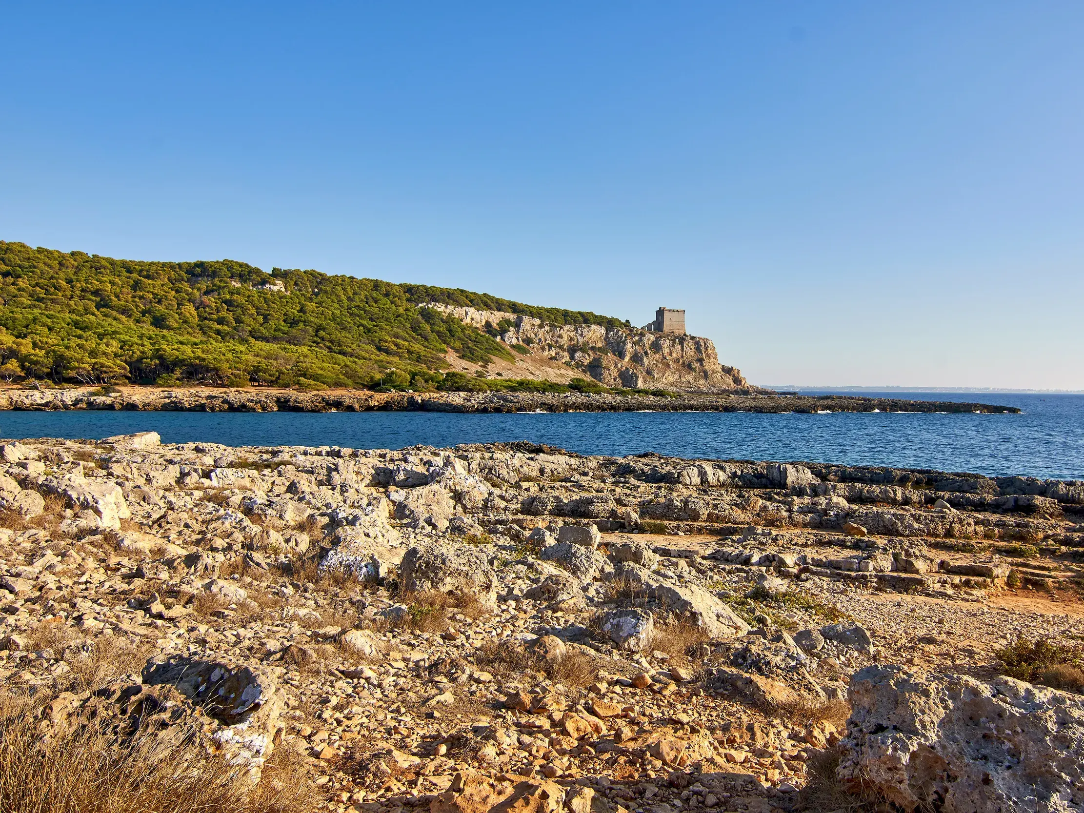 Wanderung an der Felsküste von Apulien mit Blick auf den aragonischen Küstenwachturm Torre dell'Alto bei Porto Selvaggio.