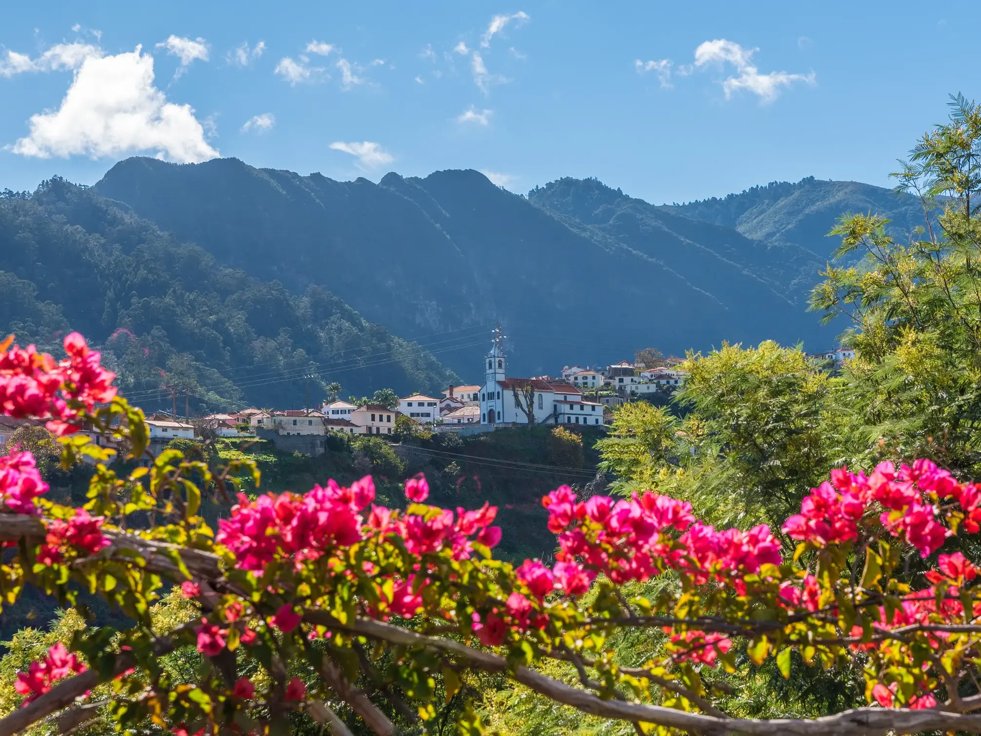 Leuchtende Bougainvillea umrahmt den Blick auf das Dorf São Vicente, das sich in die grüne Bergwelt Madeiras schmiegt.