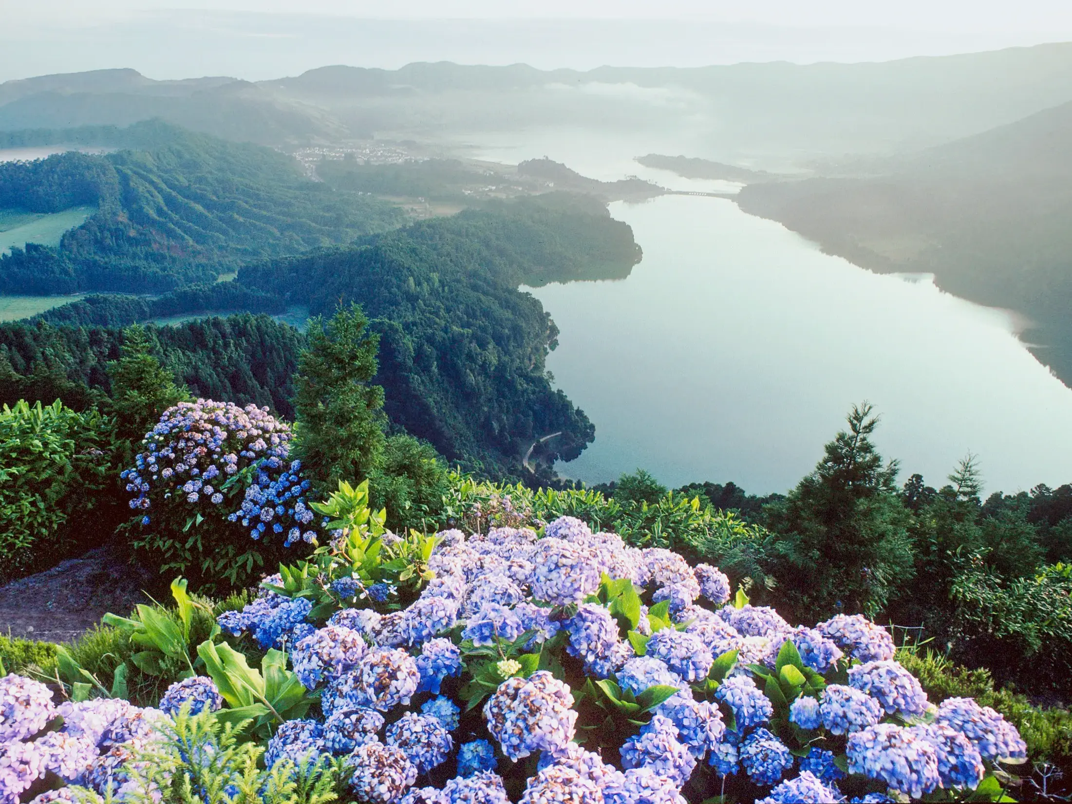 Unvergesslicher Ausblick vom Vista do Rei auf die Kraterseen von Sete Cidades mit blauen Hortensien auf der Azoreninsel Sao Miguel.