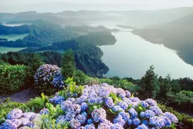 Unvergesslicher Ausblick vom Vista do Rei auf die Kraterseen von Sete Cidades mit blauen Hortensien auf der Azoreninsel Sao Miguel.