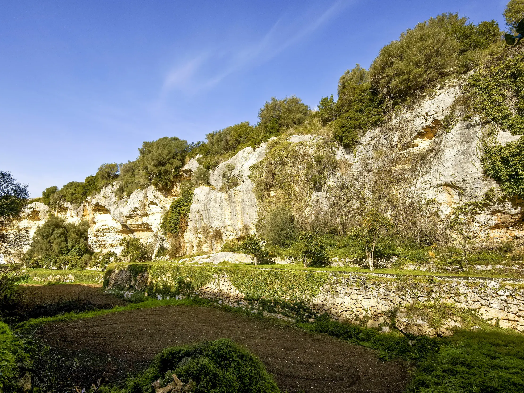 Wanderweg durch die grüne Algendar-Schlucht auf Menorca, vorbei an Felsklippen und fruchtbaren Terrassenfeldern.