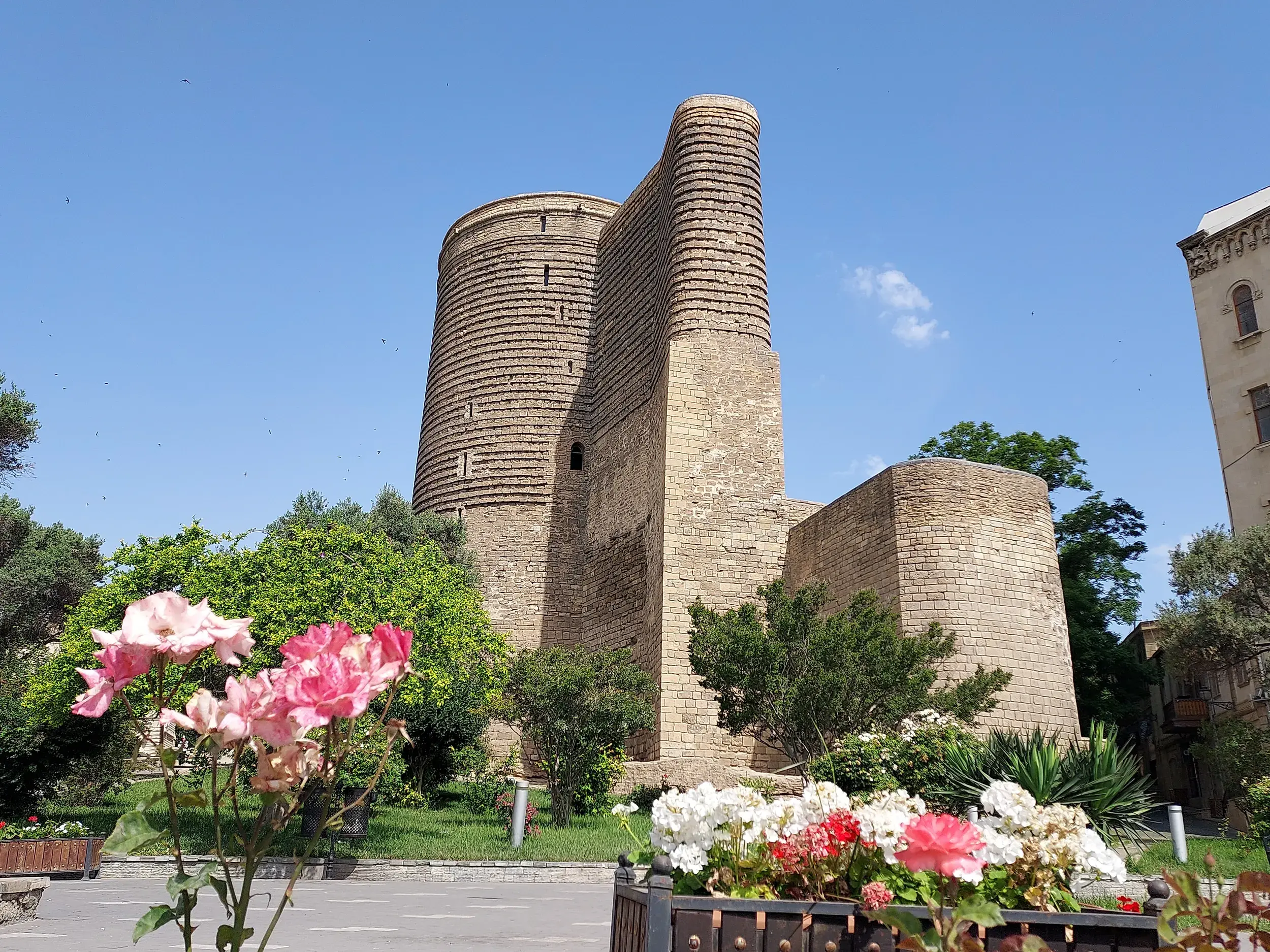 Der historische Jungfrauenturm in der Altstadt von Baku, UNESCO-Weltkulturerbe, an einem Sonnentag mit blühenden Rosen im Park.