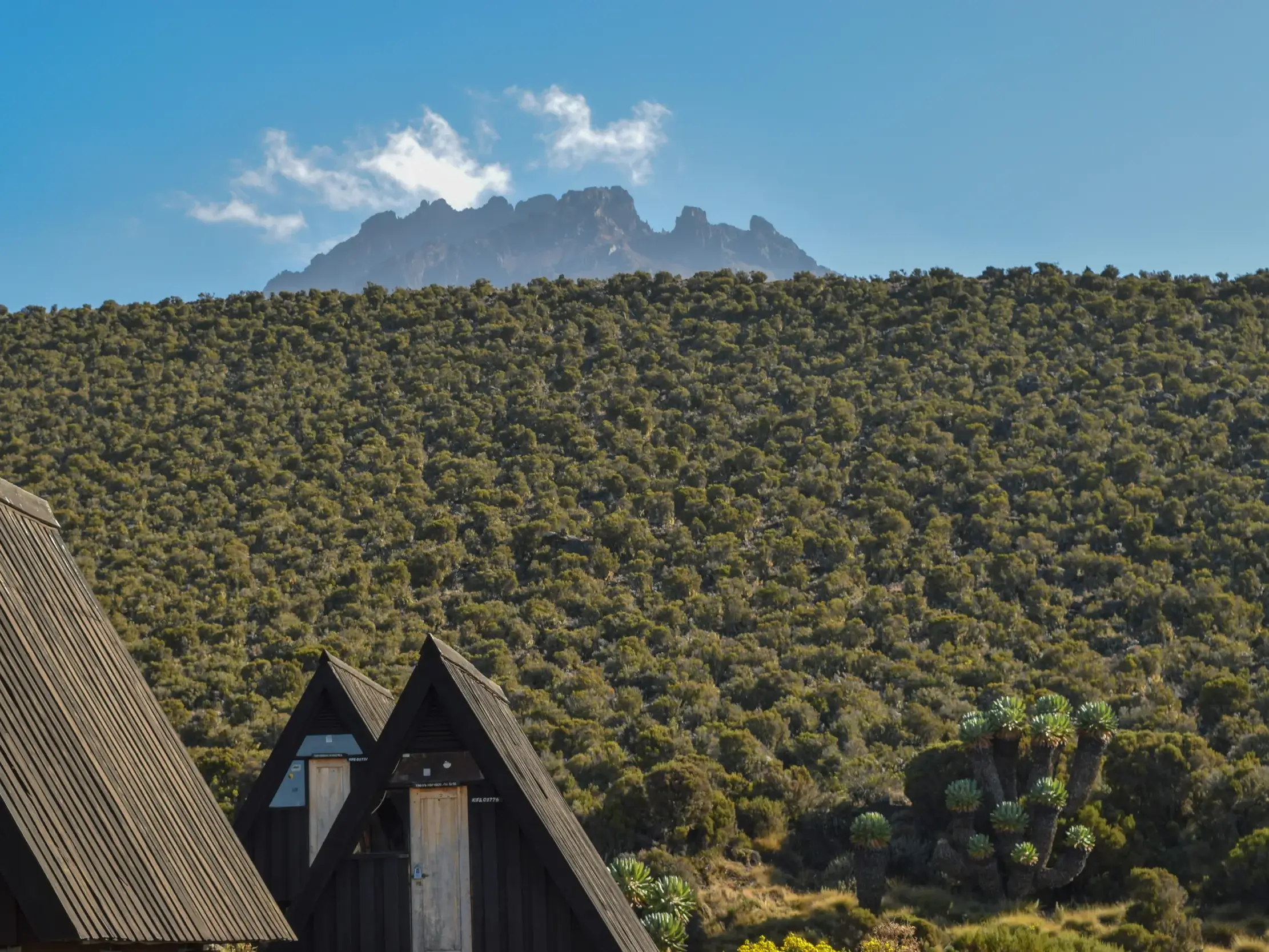 Dächer der Horombo-Hütten vor der weiten Landschaft des Kilimanjaro mit dem felsigen Mawenzi Gipfel am blauen Himmel.