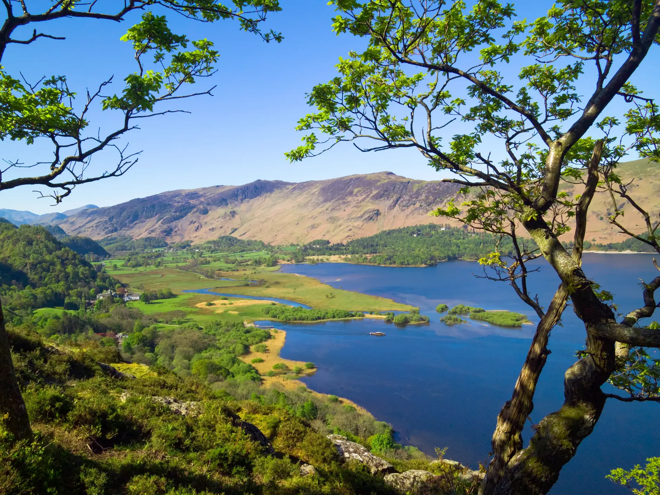 Sonnenbeschienener Blick durch Bäume auf einen blauen See in der idyllischen Berglandschaft des Lake District.