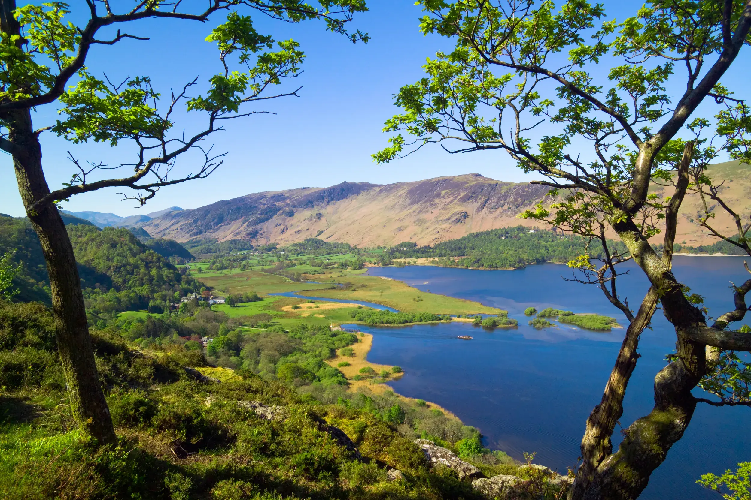 Sonnenbeschienener Blick durch Bäume auf einen blauen See in der idyllischen Berglandschaft des Lake District.