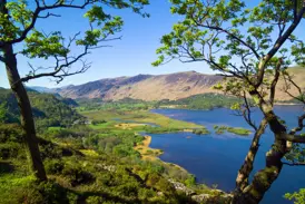 Sonnenbeschienener Blick durch Bäume auf einen blauen See in der idyllischen Berglandschaft des Lake District.